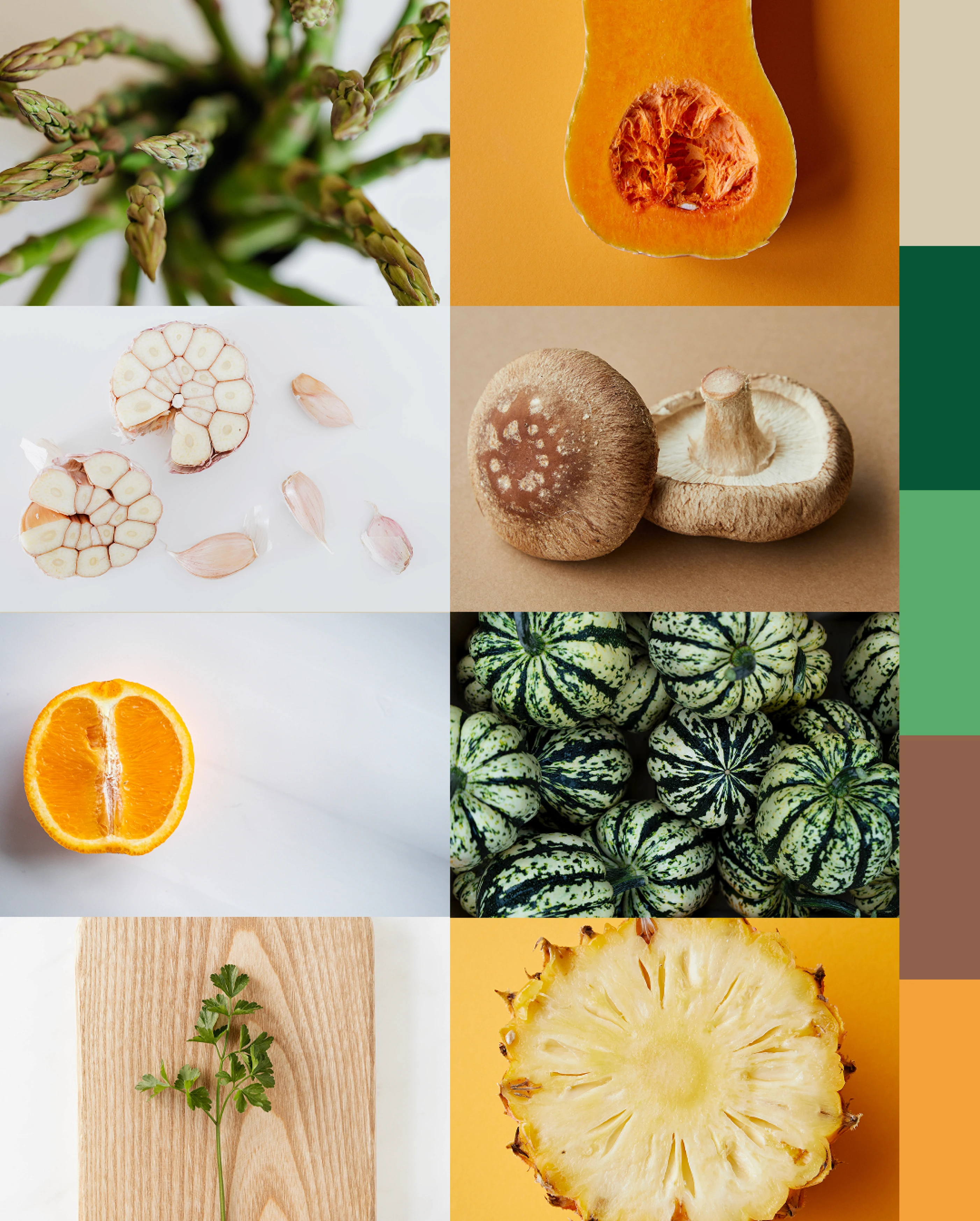Moodboard d'inspiration et palette de couleurs (vert forêt, ocre, terre) avec photos de produits frais bio et de saison.