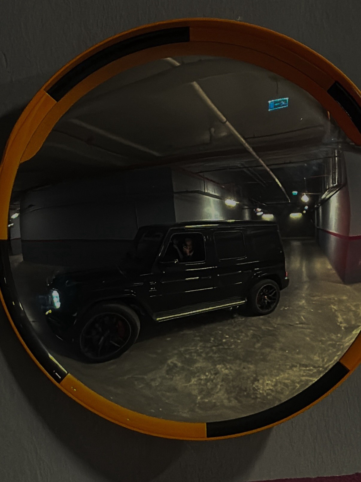 Close-up of a tree stump showing growth rings and a textured brown wood surface.