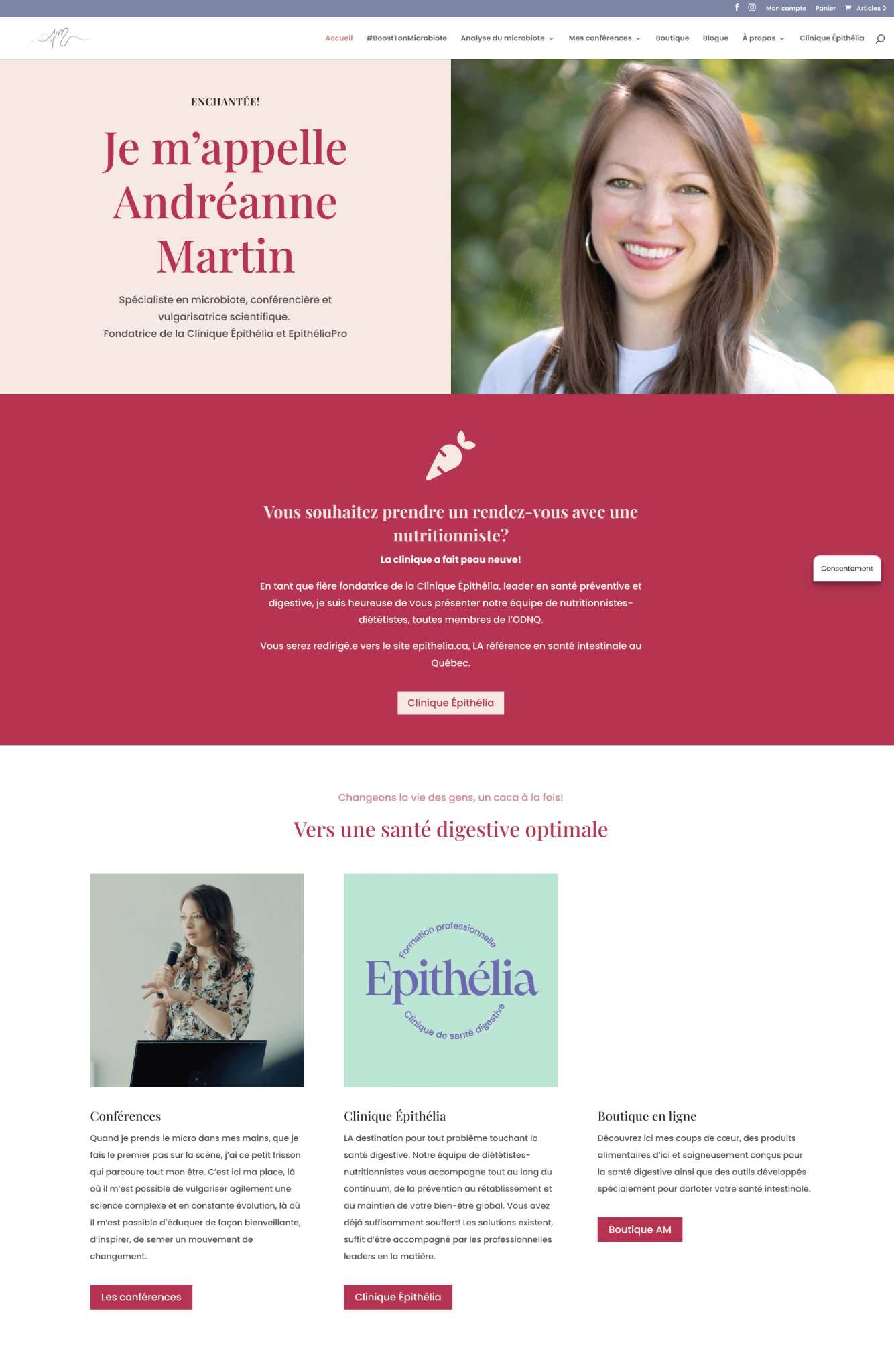 L'ancien site d'Andréanne Martin avant le nouveau design fait par Novaa.studio.