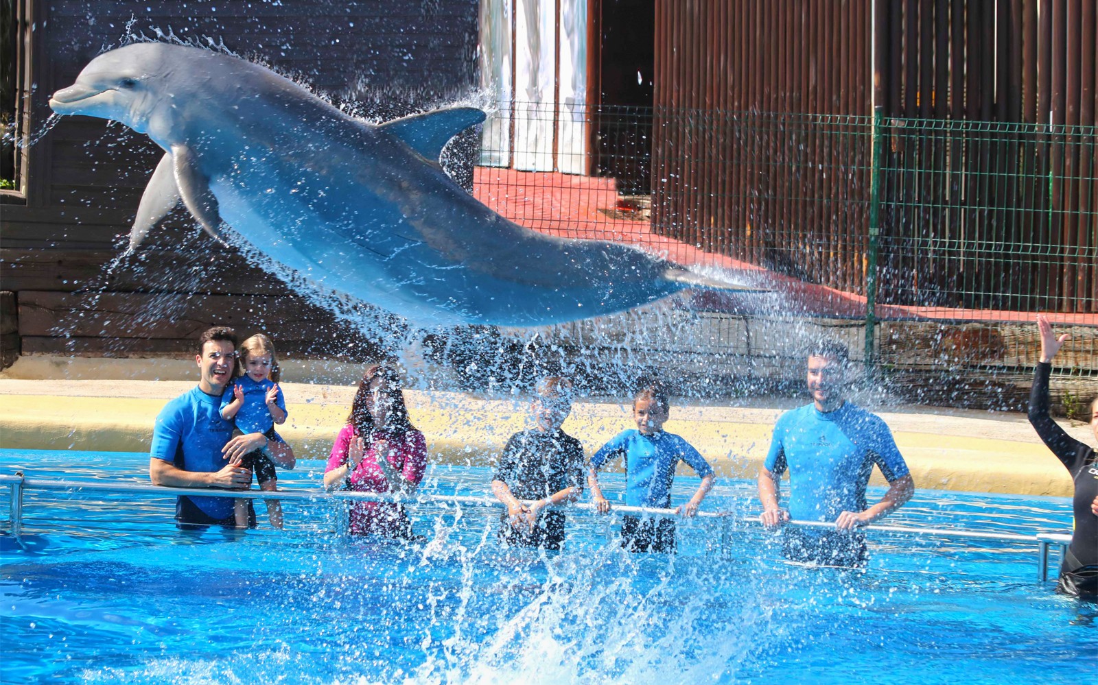 Springende delfiner foran besøgende på Selwo Marina, Benalmádena.