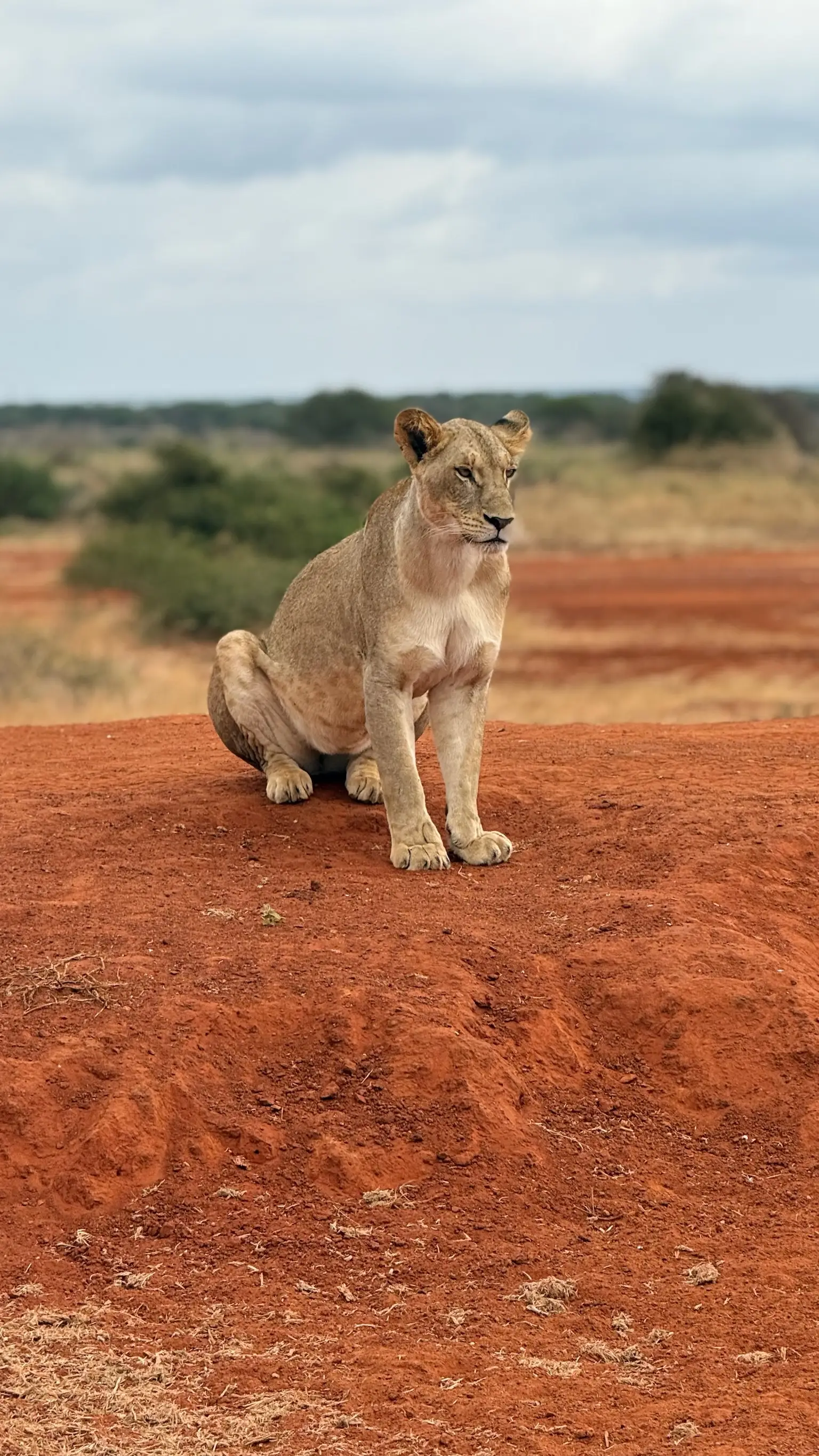Usahili Tour in Kenya