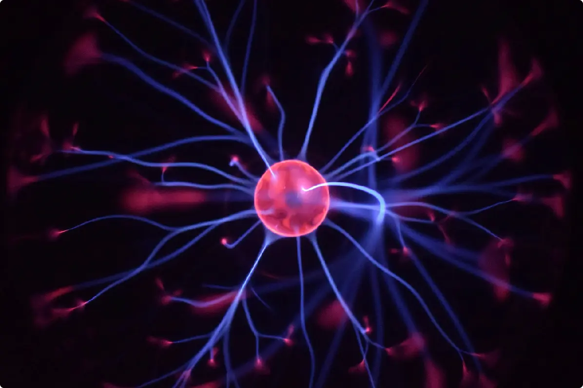 a close up of a red flower