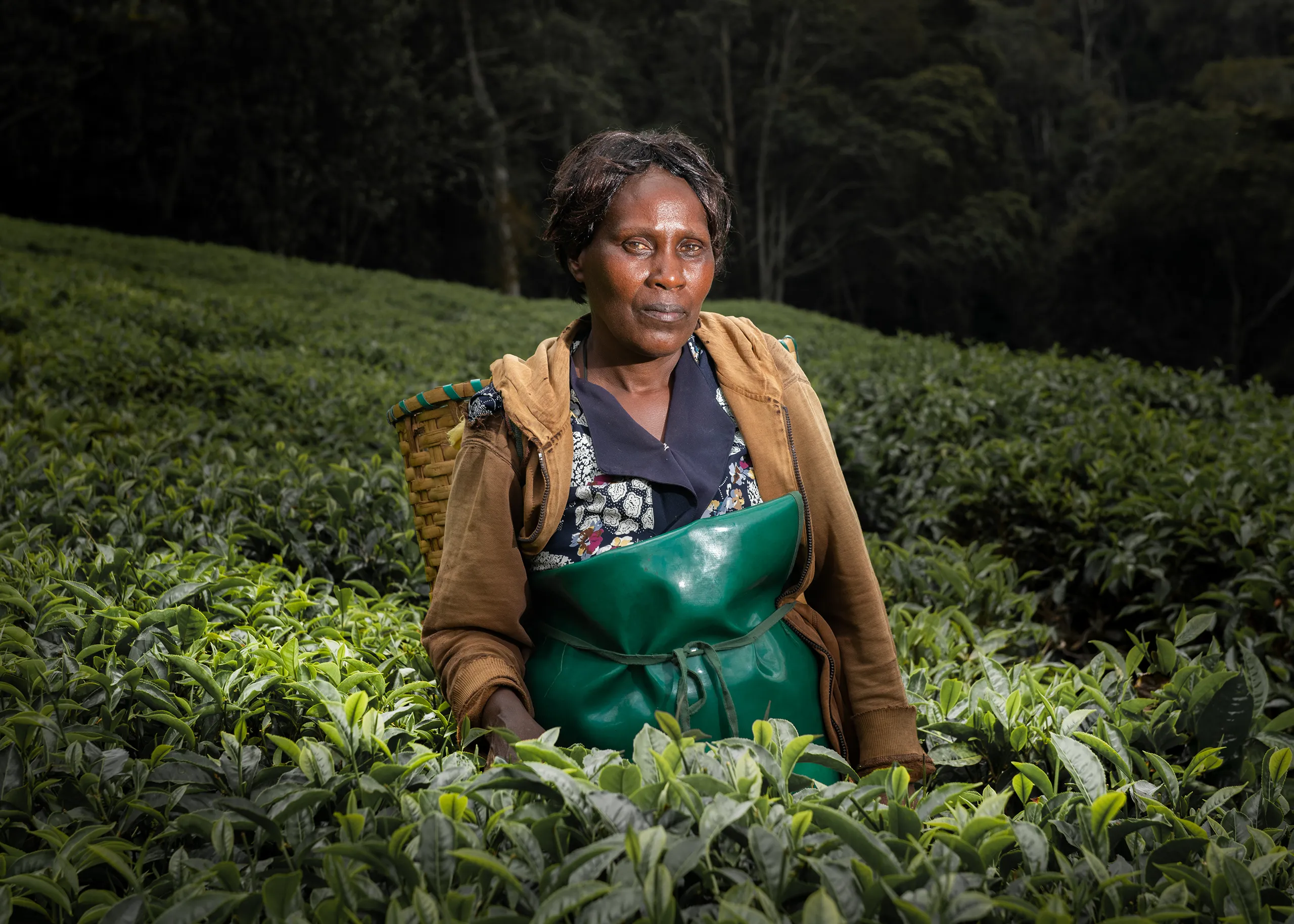 A candid portrait of a female worker in a green apron and basket standing in a vibrant green tea field.