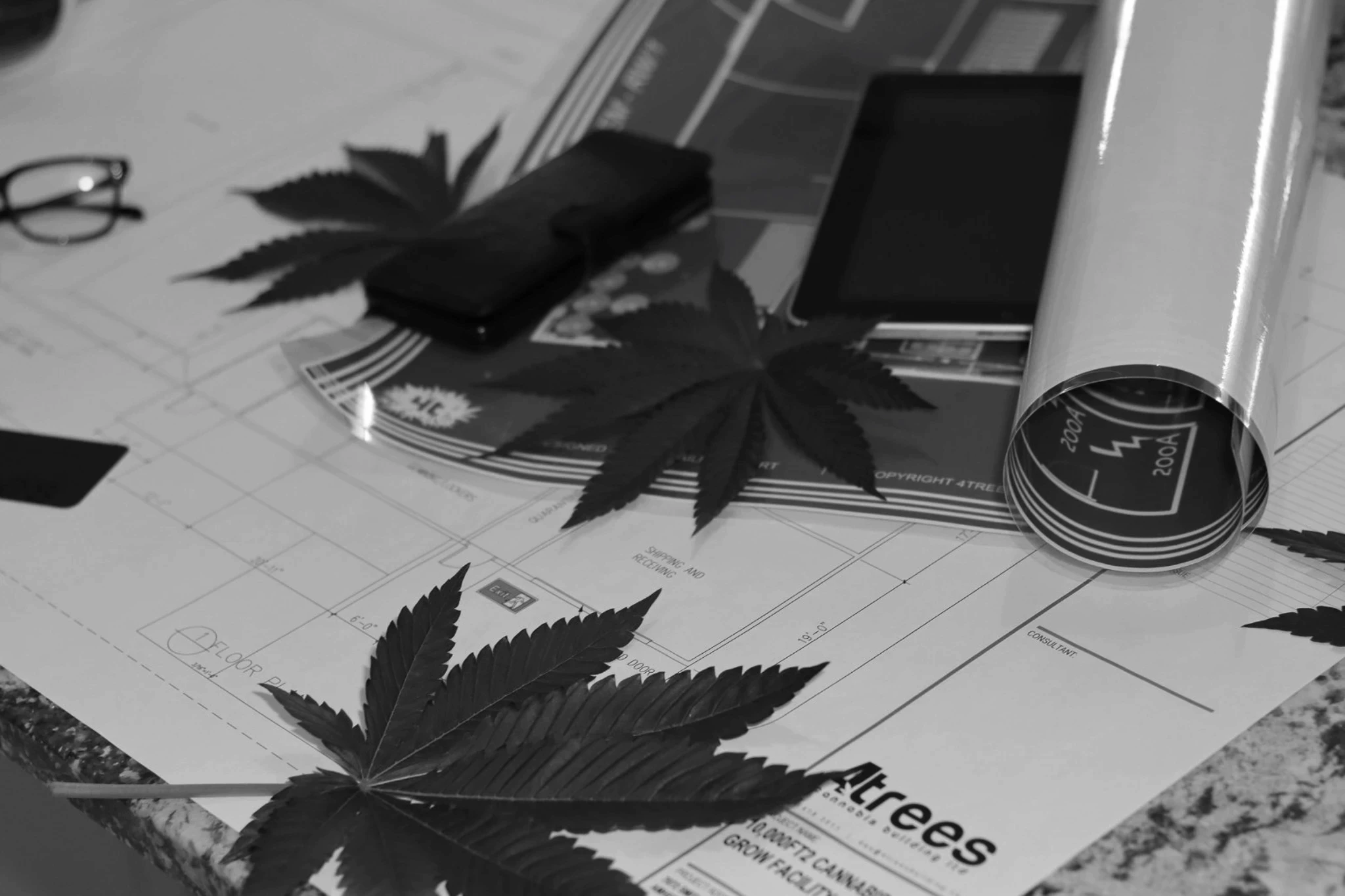 Cannabis leaves and blueprints with devices