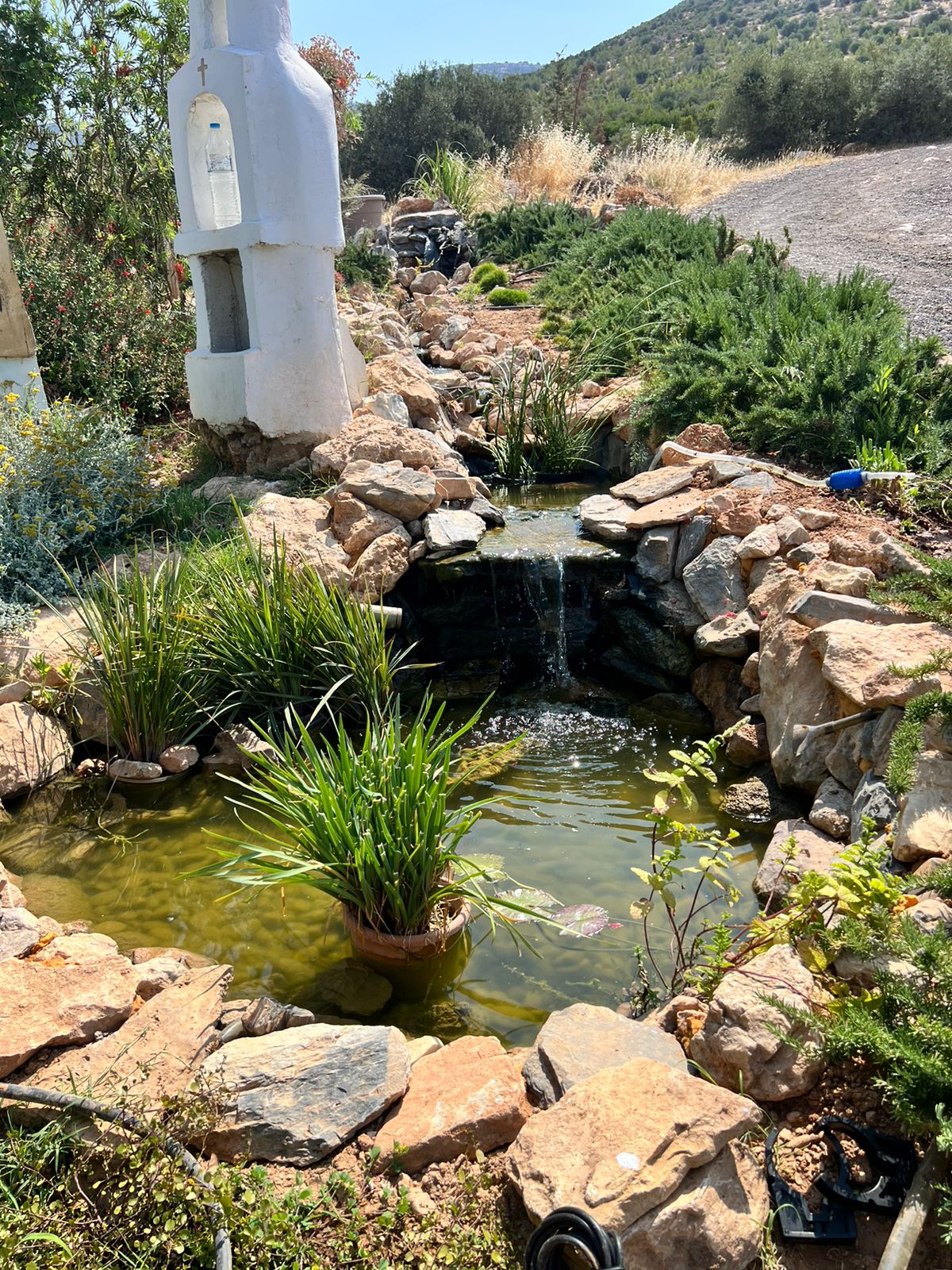 Beautiful landscaped garden with greenery and outdoor design elements.