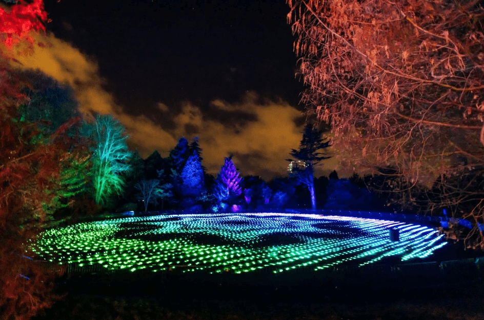 Image of Leazes Park lit up with multicoloured lights