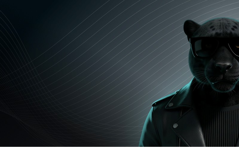 SHADOW artwork