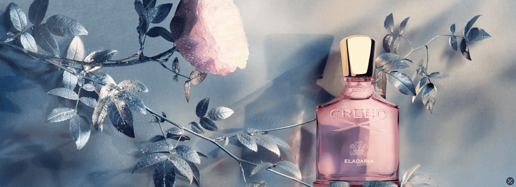 original photo of Creed Eldaria