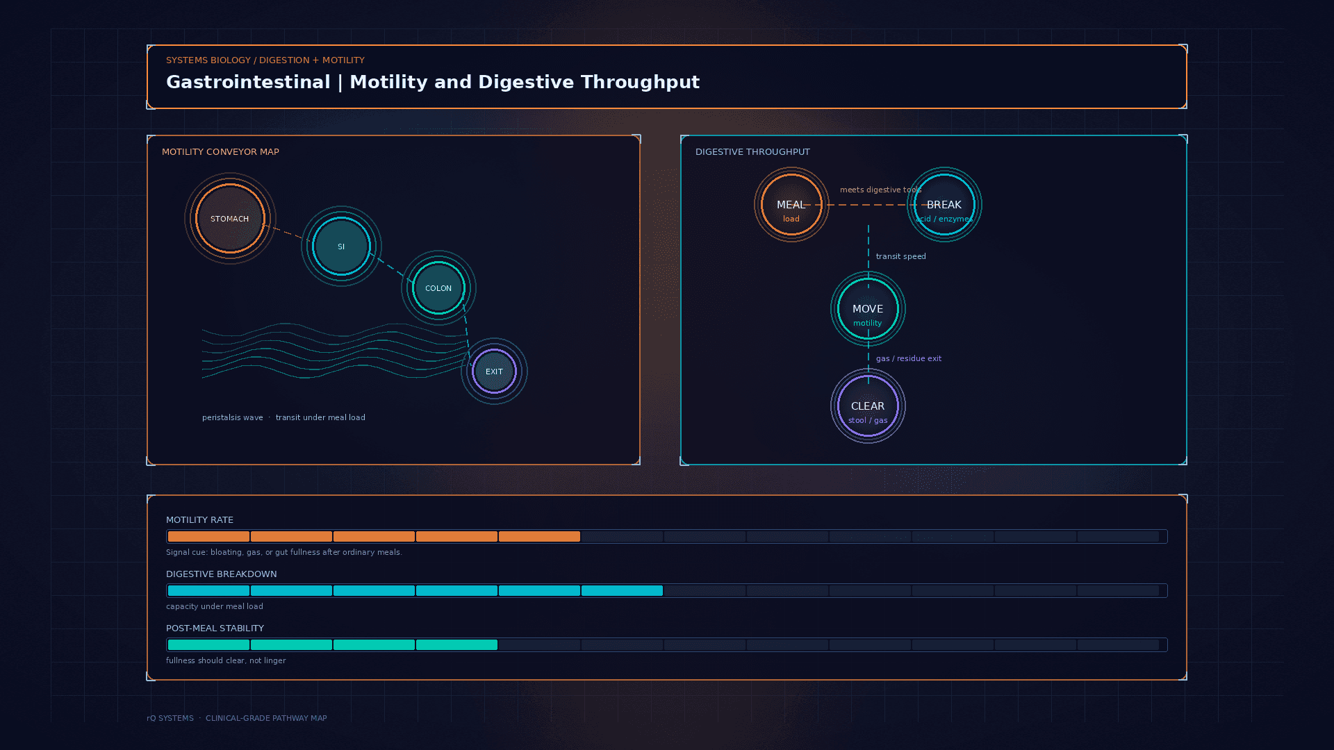 Gastrointestinal. Motility and Digestive Throughput Signals.