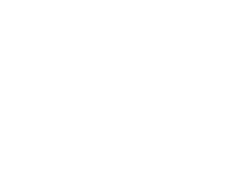 Esmeralda 2025 auction logo