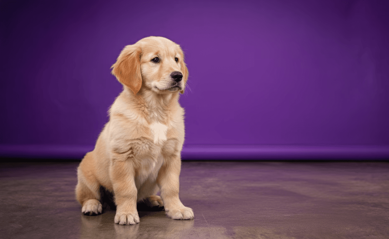 A kid practicing surfing