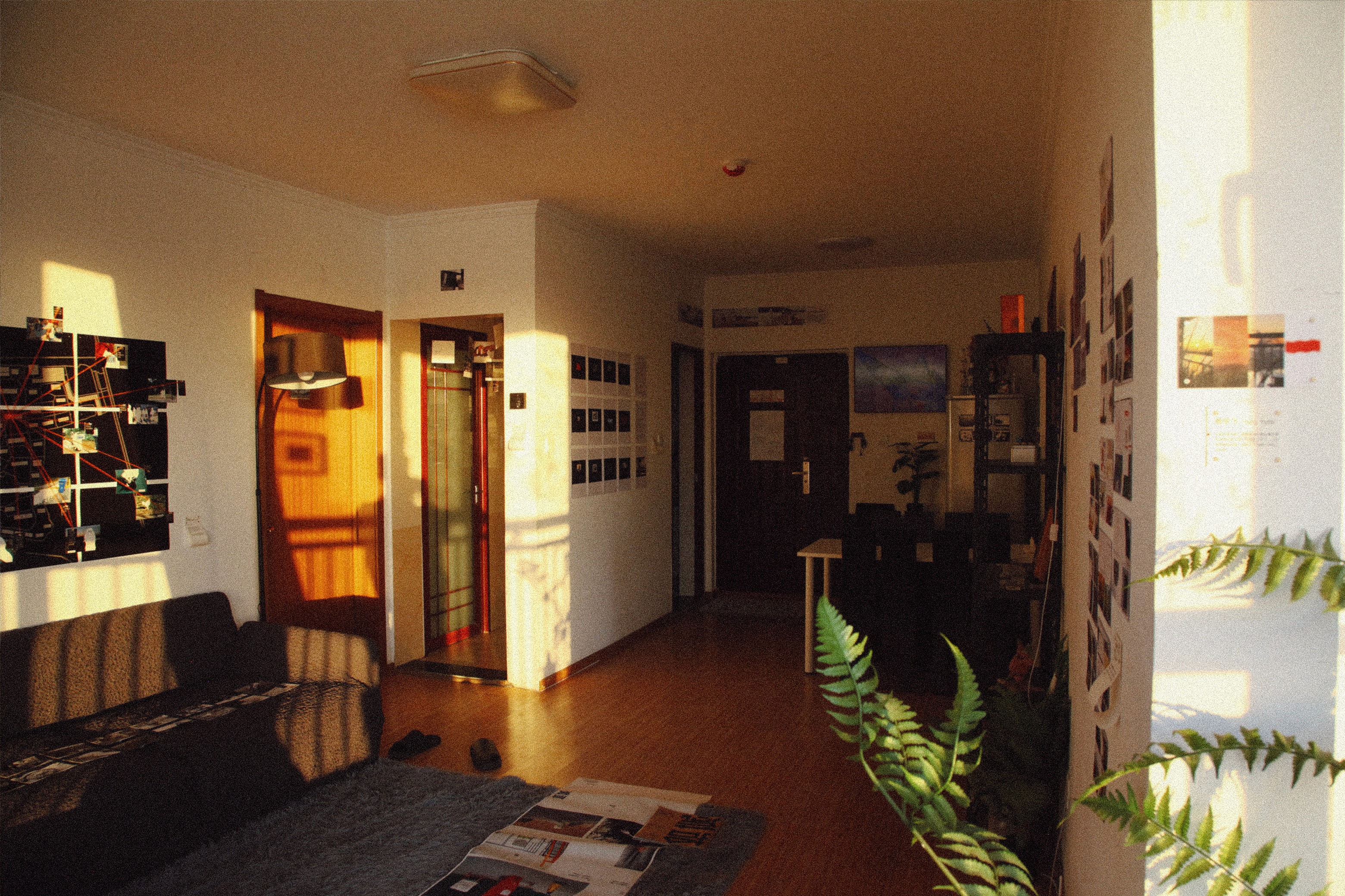 展览现场 5