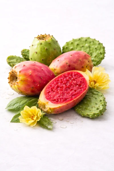 isolated and exposed CACTUS Fruite plant on a white background.