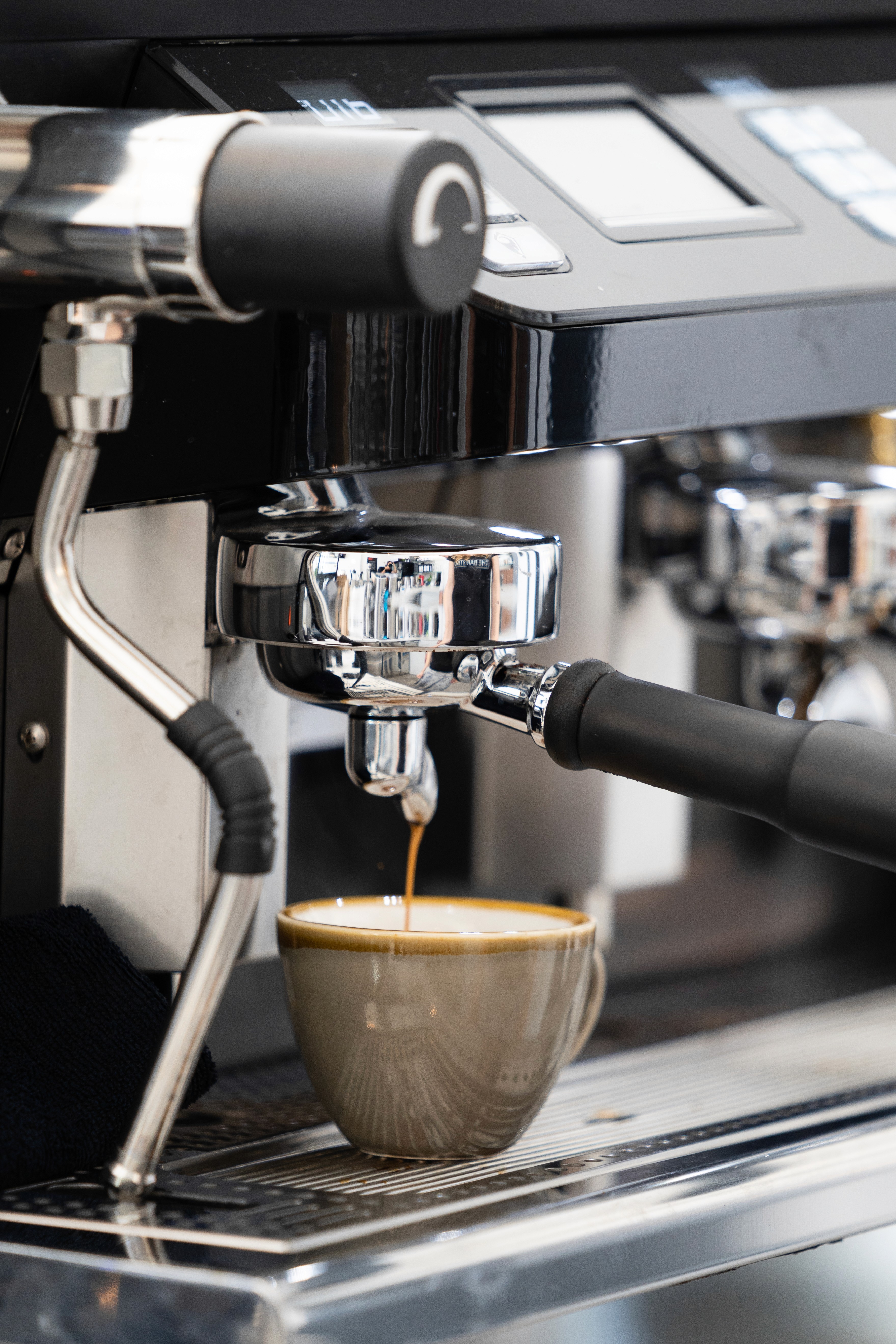 La Paloma environment