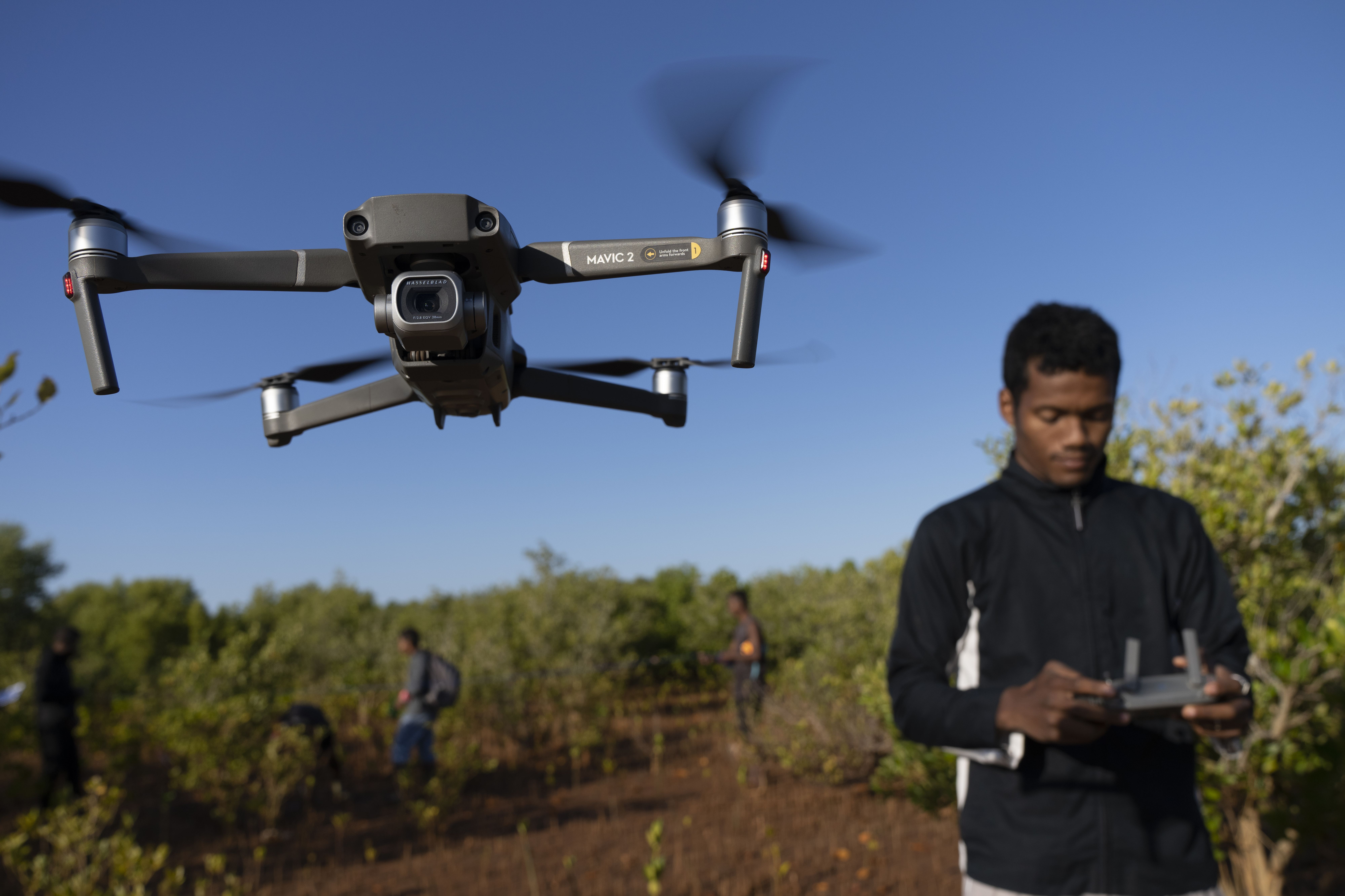 image of the planting projects we support