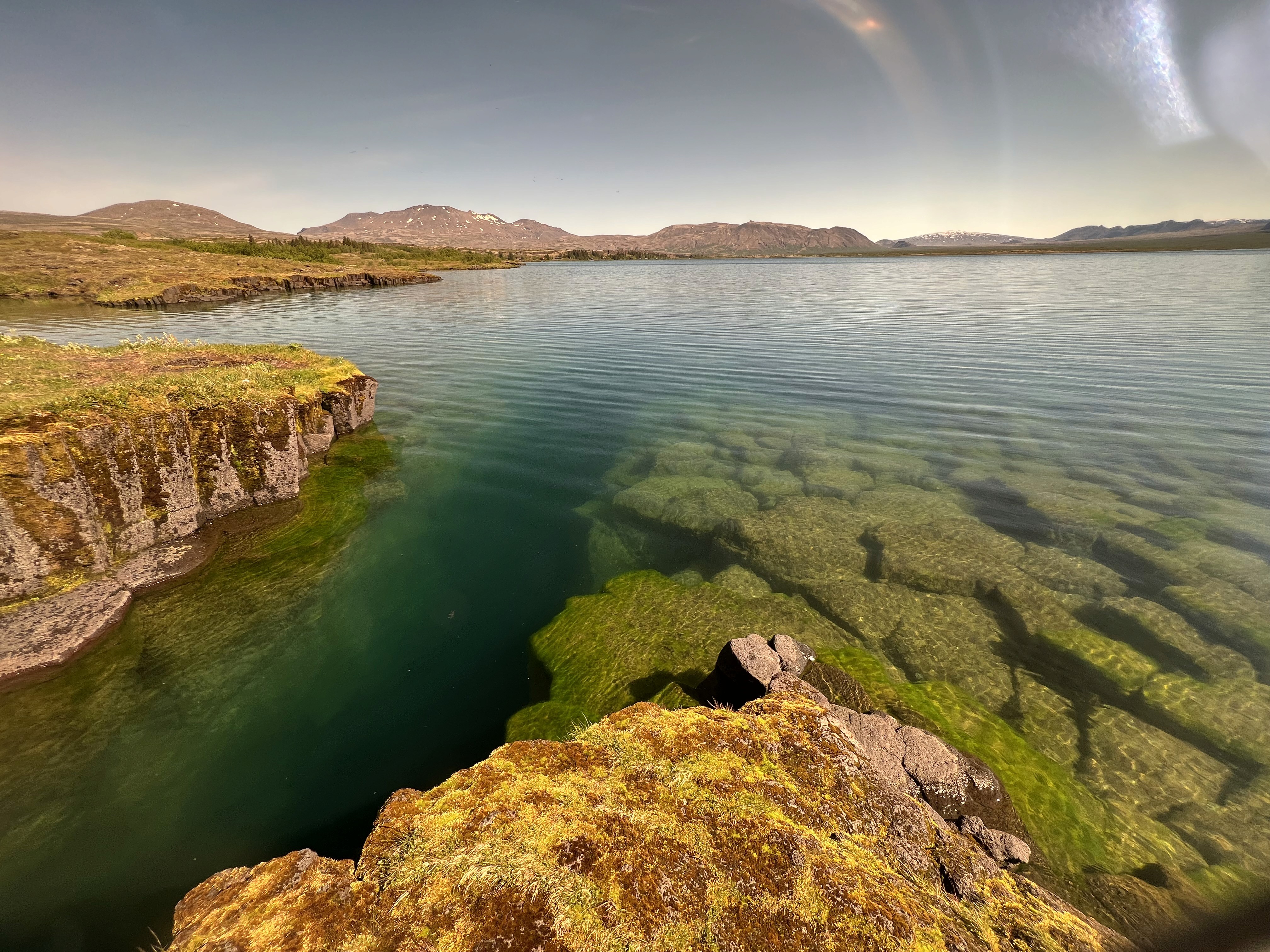 people sitting on chair in front of laptop computers