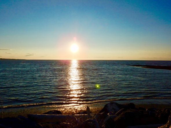 sun reflecting on a body of water