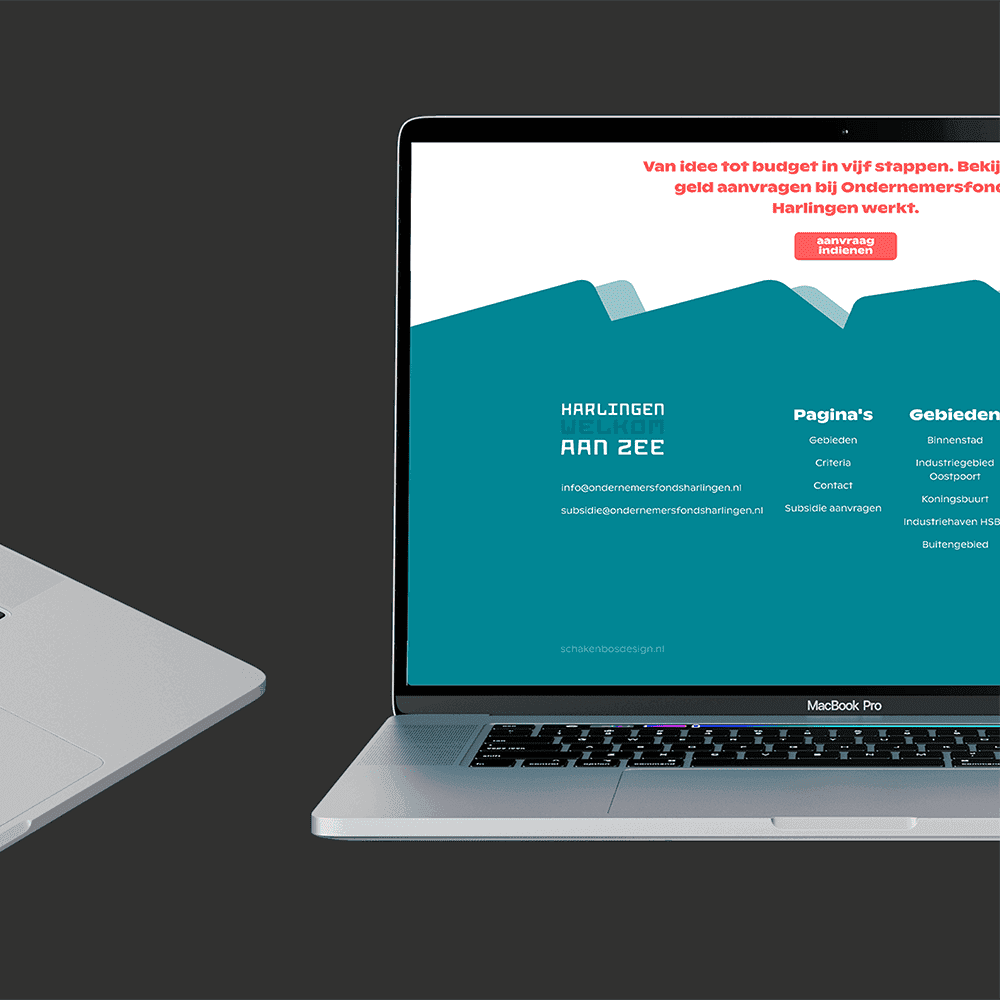 Project Gallery Image for 50% width of the screen #2