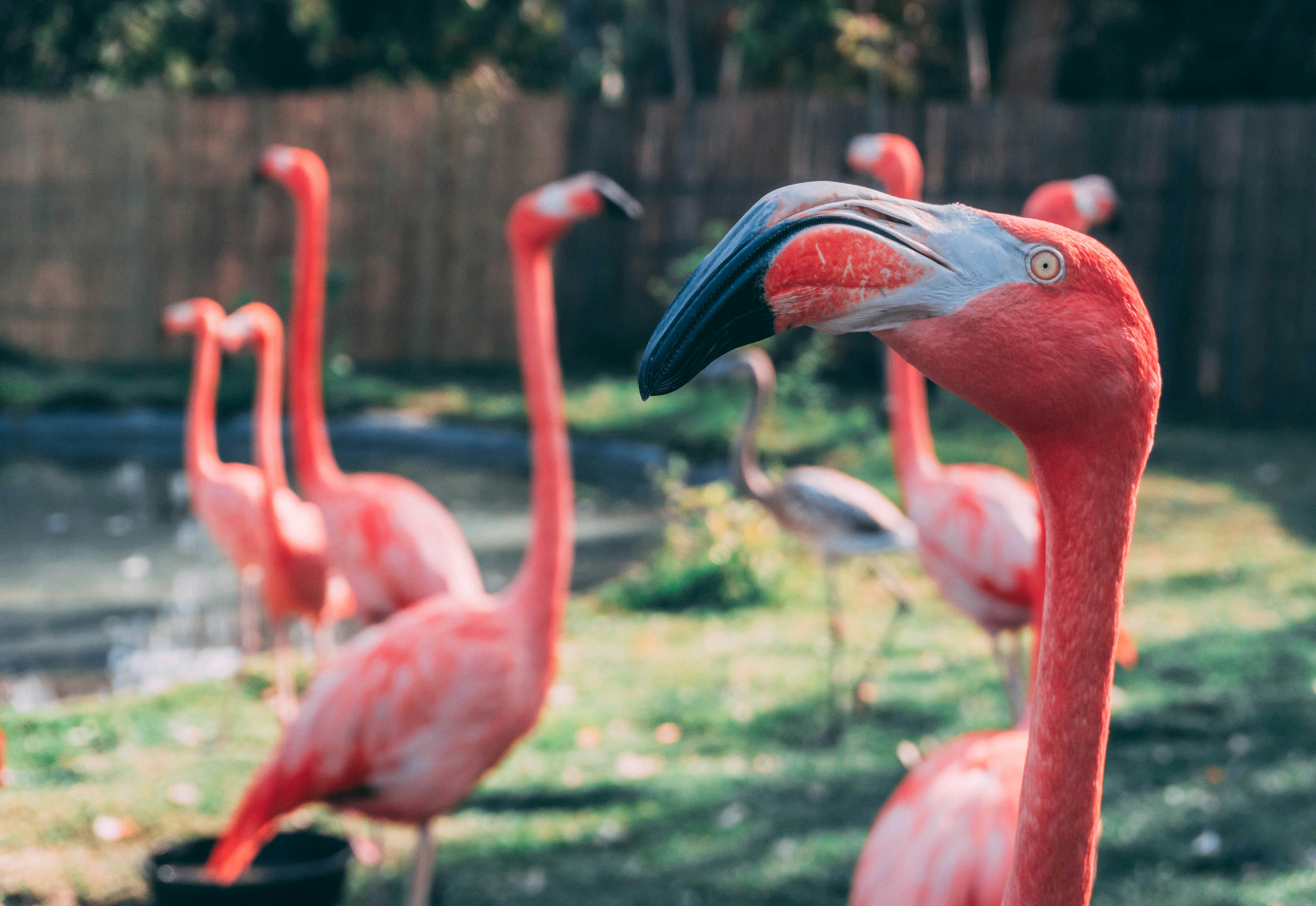 Two men greeting with hand