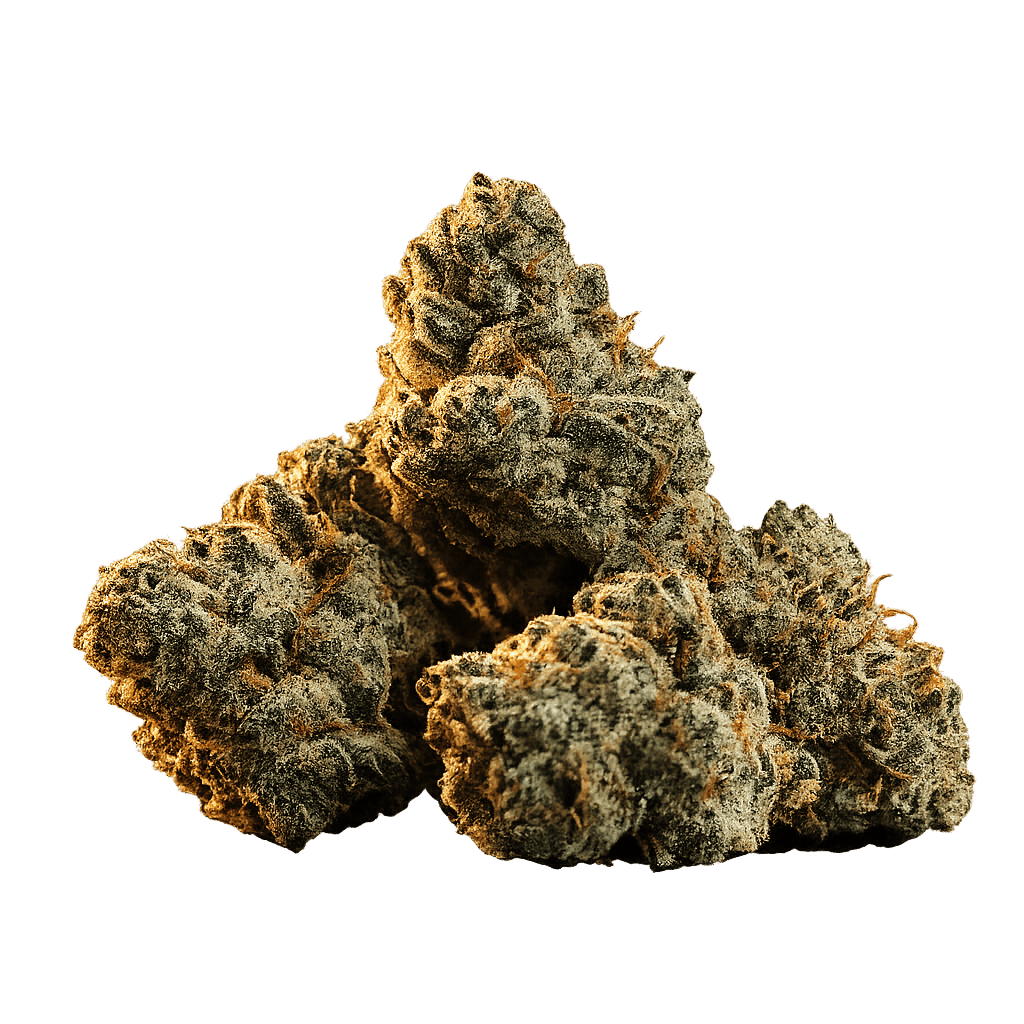 Prescribed medical cannabis flower 10g — Indra Clinic