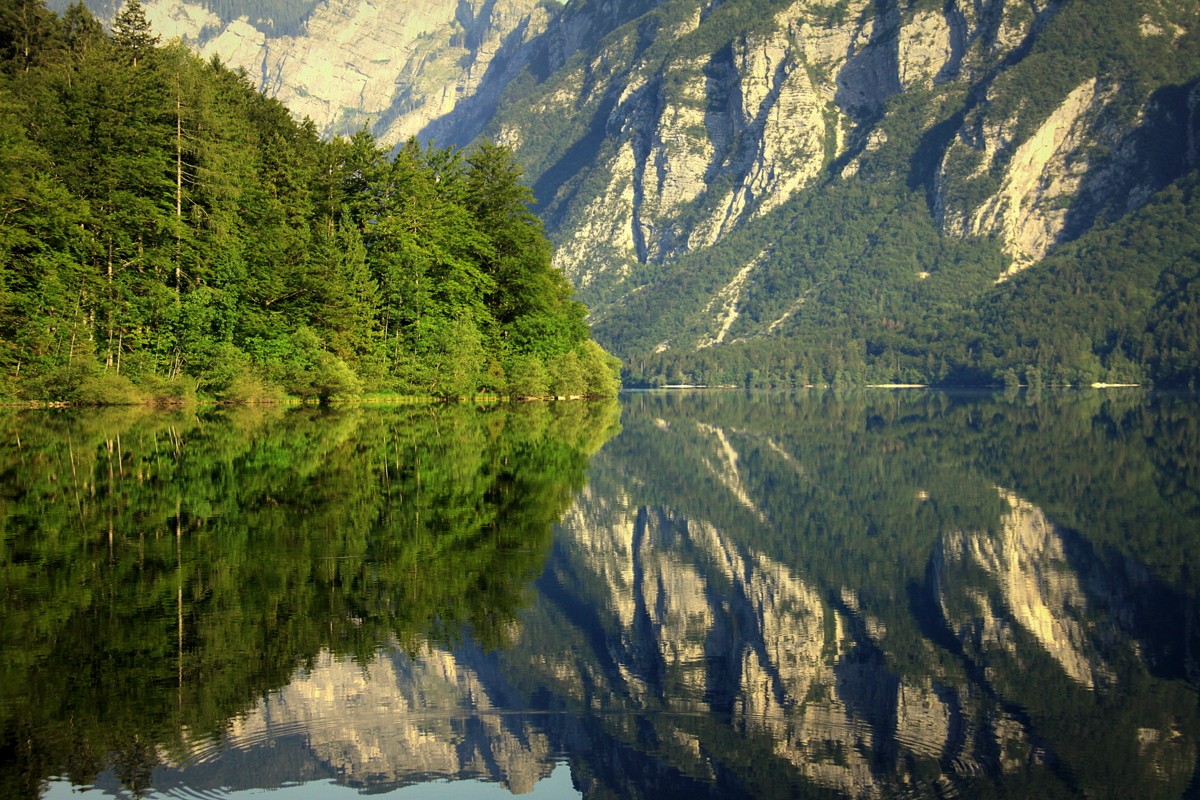 A tranquil, high-contrast reflection of alpine scenery on the still surface of Lake Bohinj, Slovenia during a quiet spring day.