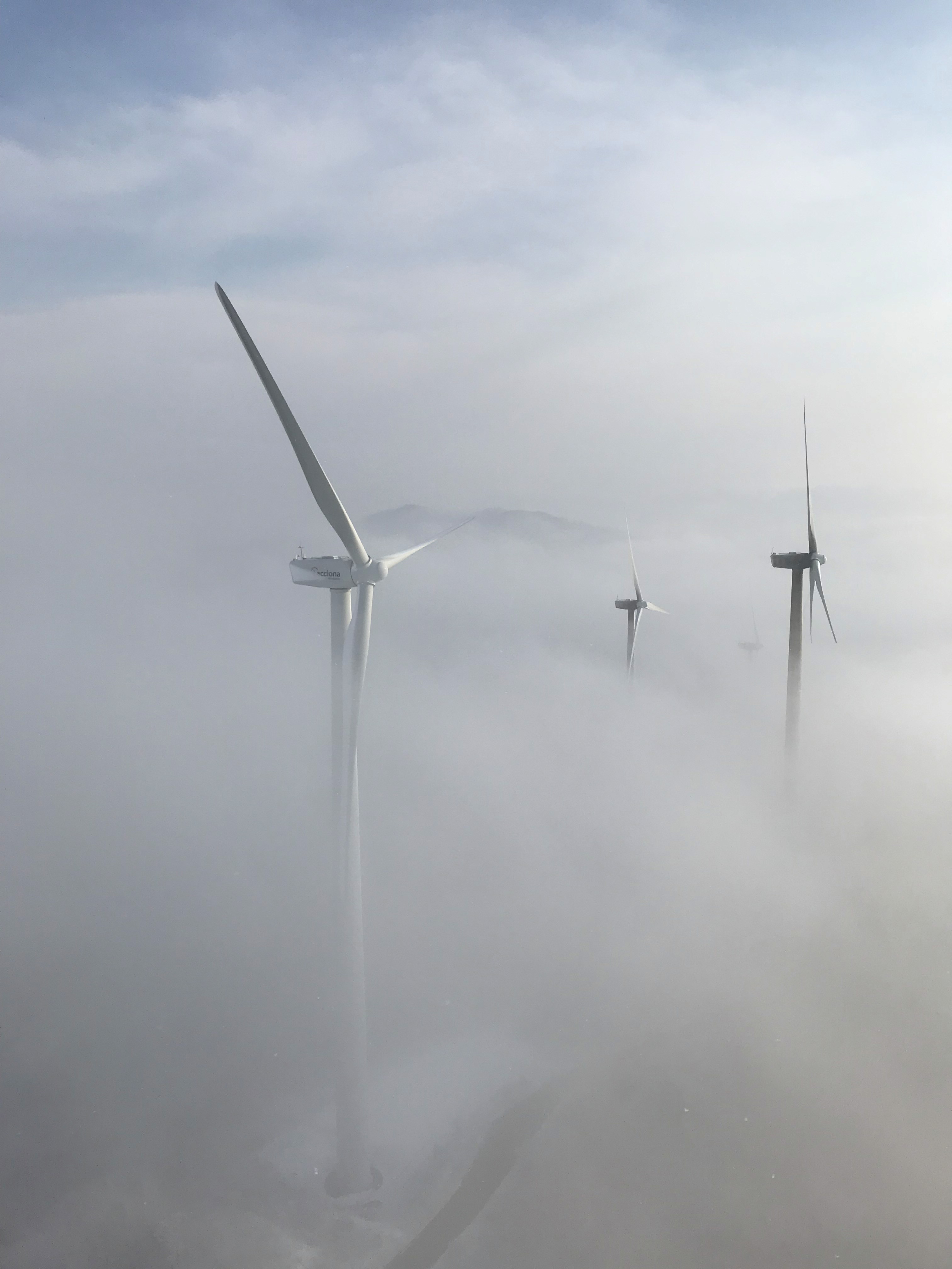 Sustainable Future with WindTree By Skylar Wind Energy Services