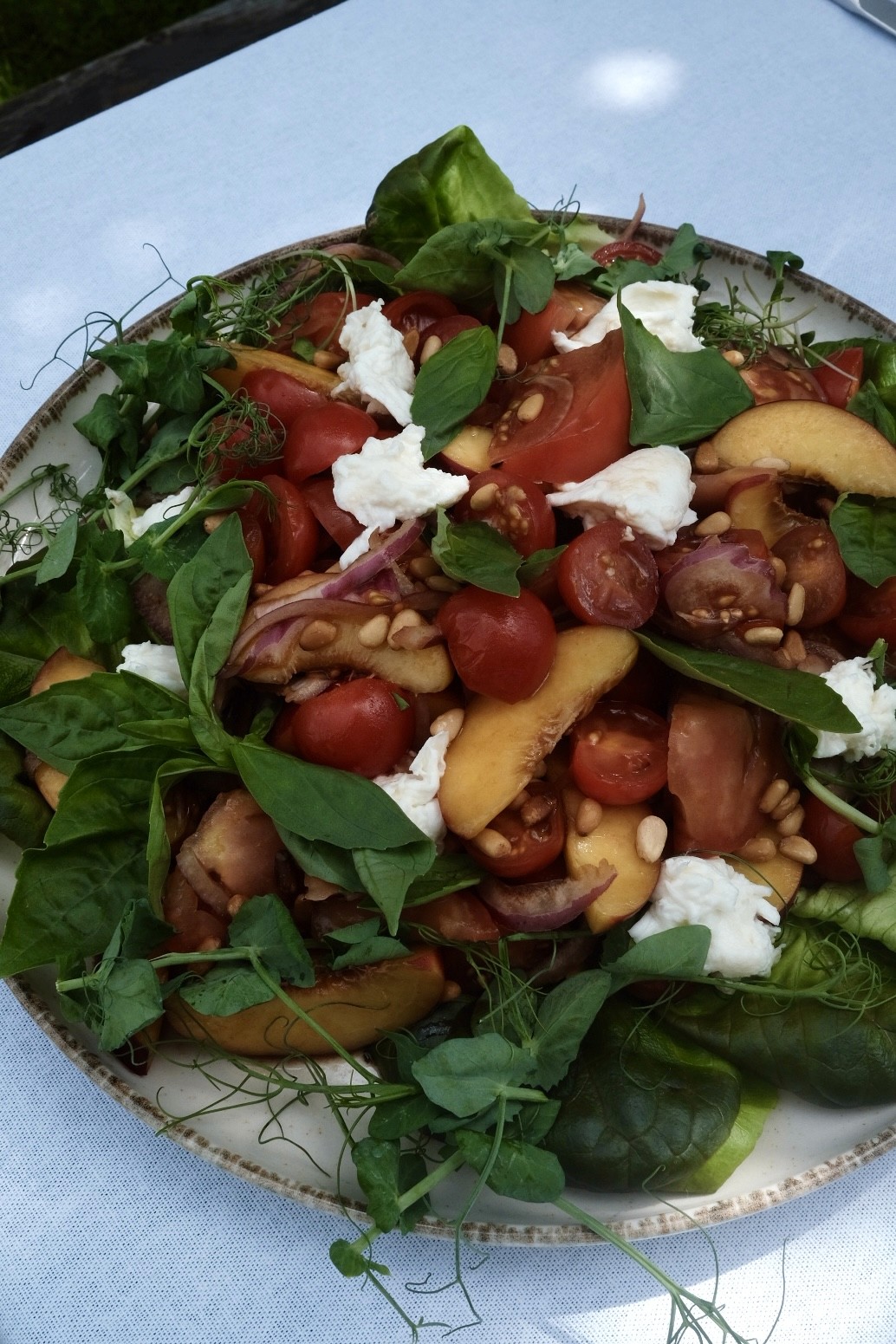 Summer salad with tomatoes, stone fruit, cheese and fresh herbs