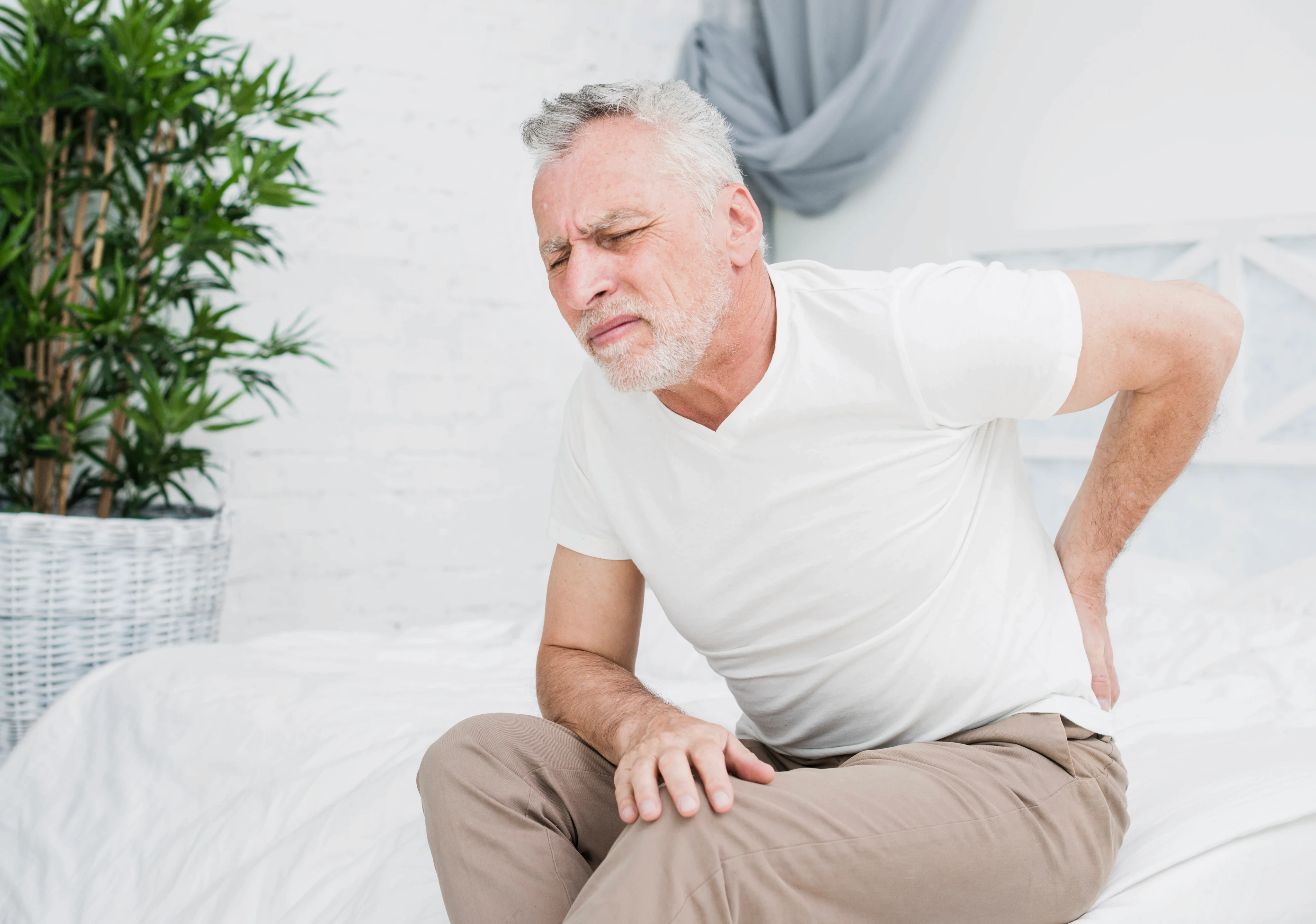 Elderly man in a white shirt and beige pants sits on a bed, grimacing in pain and holding his lower back. A potted plant is in the background.