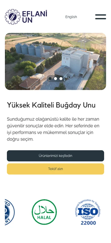 Mobile website mockup Home
