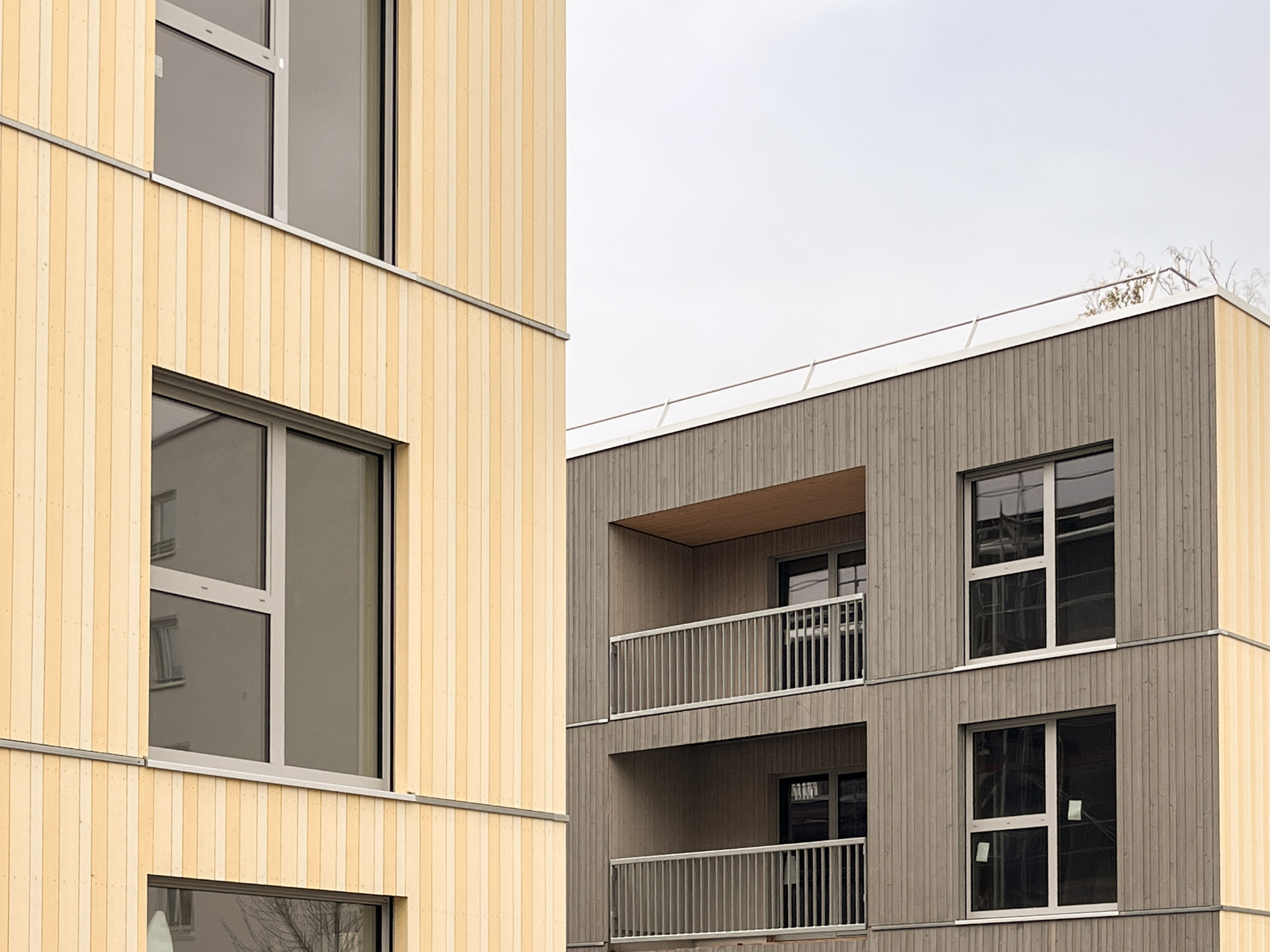 Holzbau