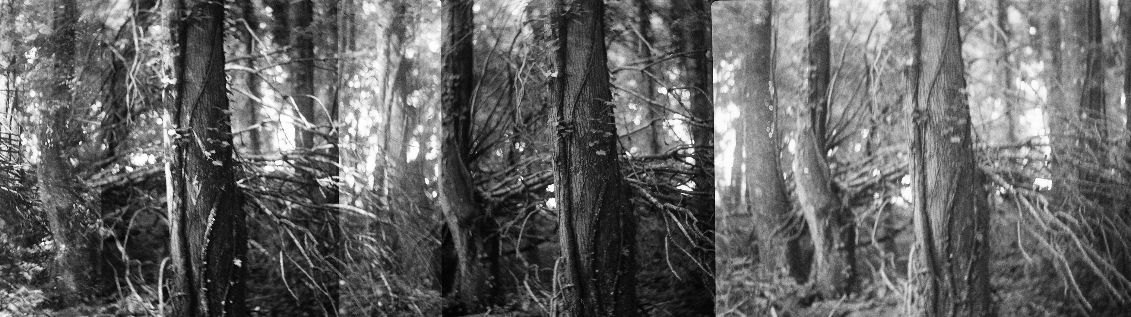 Light and shadow fine art photography