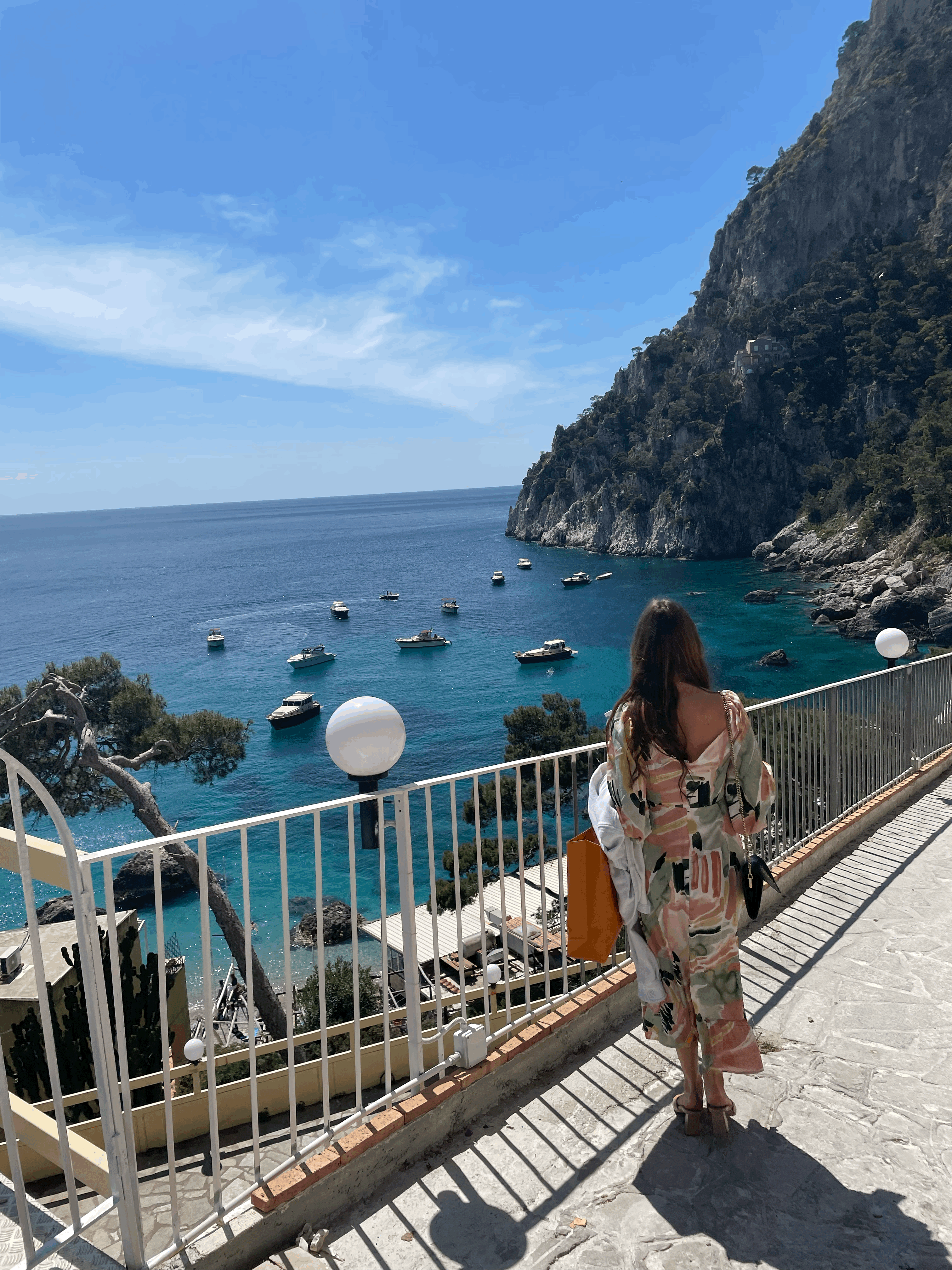Vintage Car Under Palm Trees