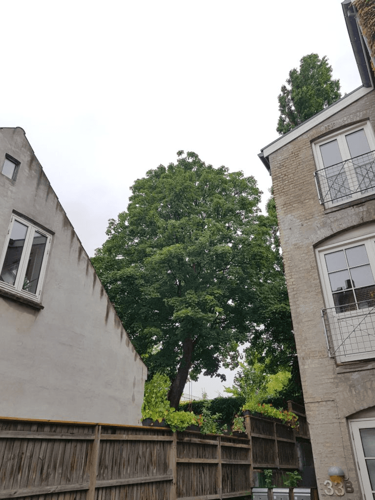 Close-up of a sleek dark green SUV with modern design elements, illuminated against a dark green background.