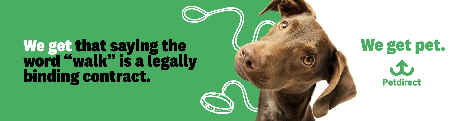 An advert for Petdirect with a dog looking interested