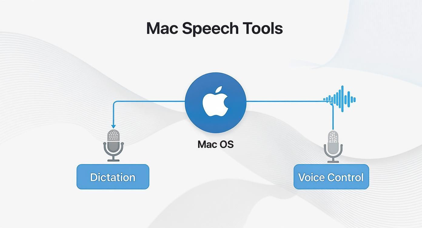 Mac OS speech tools diagram showing dictation and voice control features with microphone icons