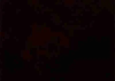 Stain Color Samples - Antique Black On Grey