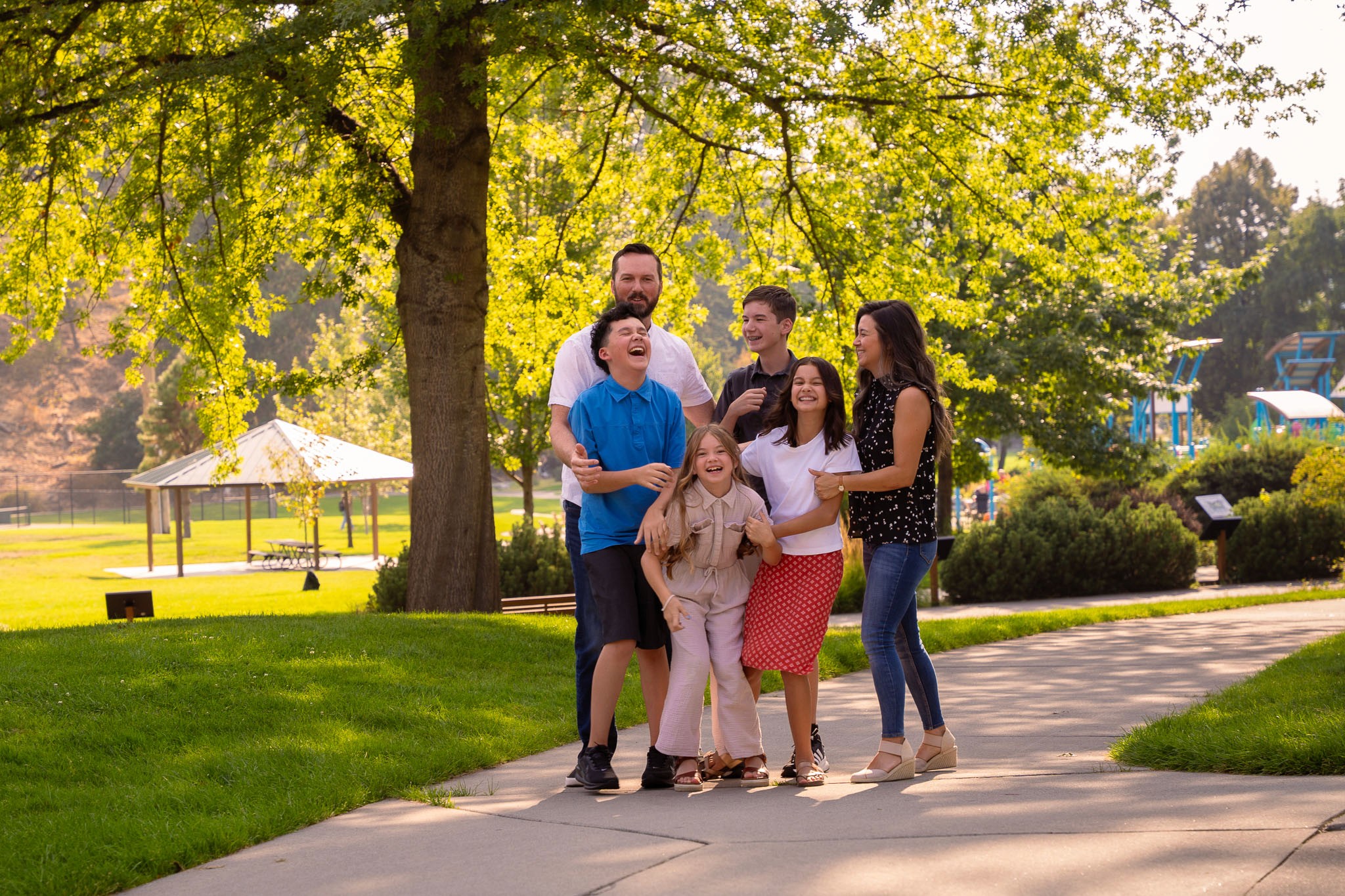  a family gently tugging on each other on a sidewalk with a tree behind them and green grass along the side the sidewalk