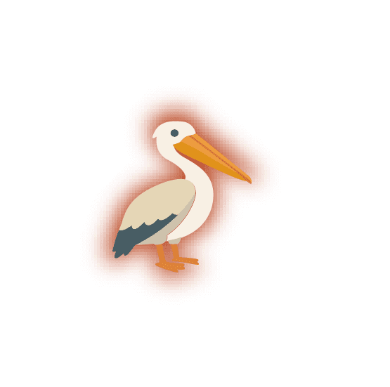 gosier-pelican-guadeloupe-yohel