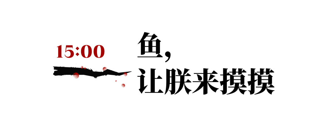 故宫三宝职场综艺展现