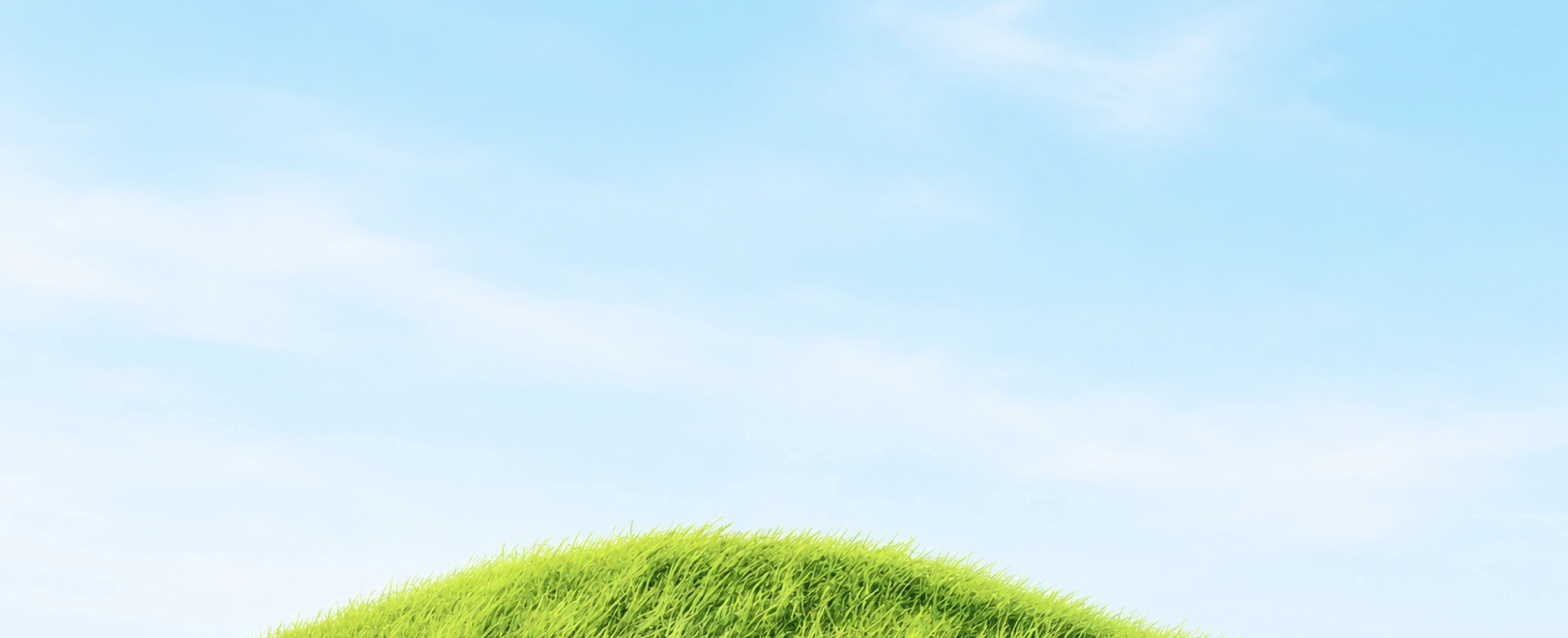bg image
