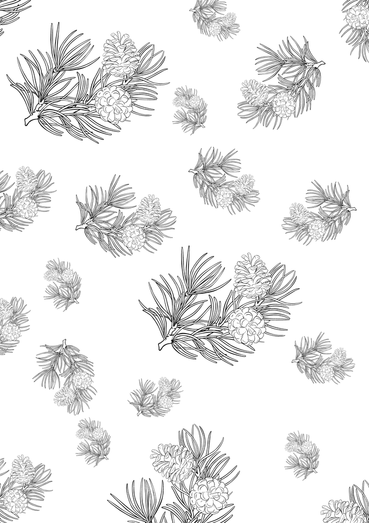 Sketches of pines and twigs