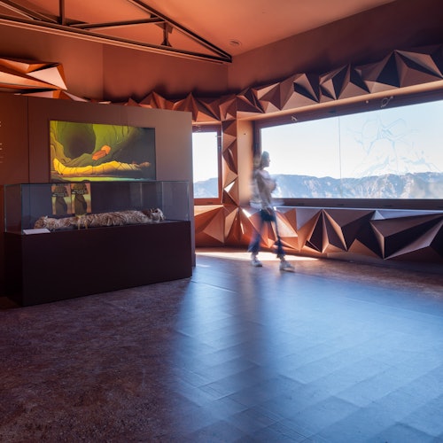 A person walking past an indoor exhibit featuring nature displays, with large windows showing a mountainous landscape.