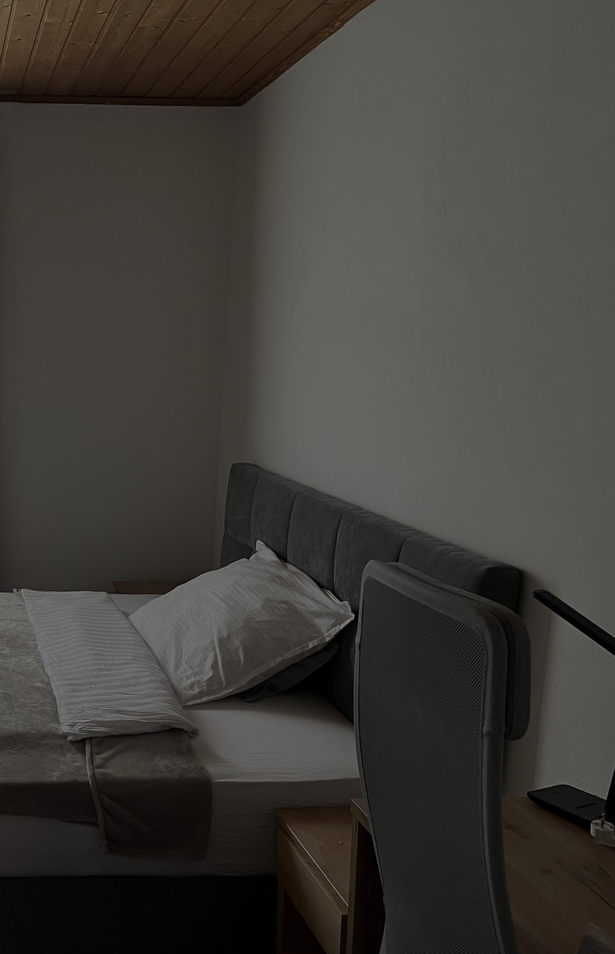 Luxurious Room