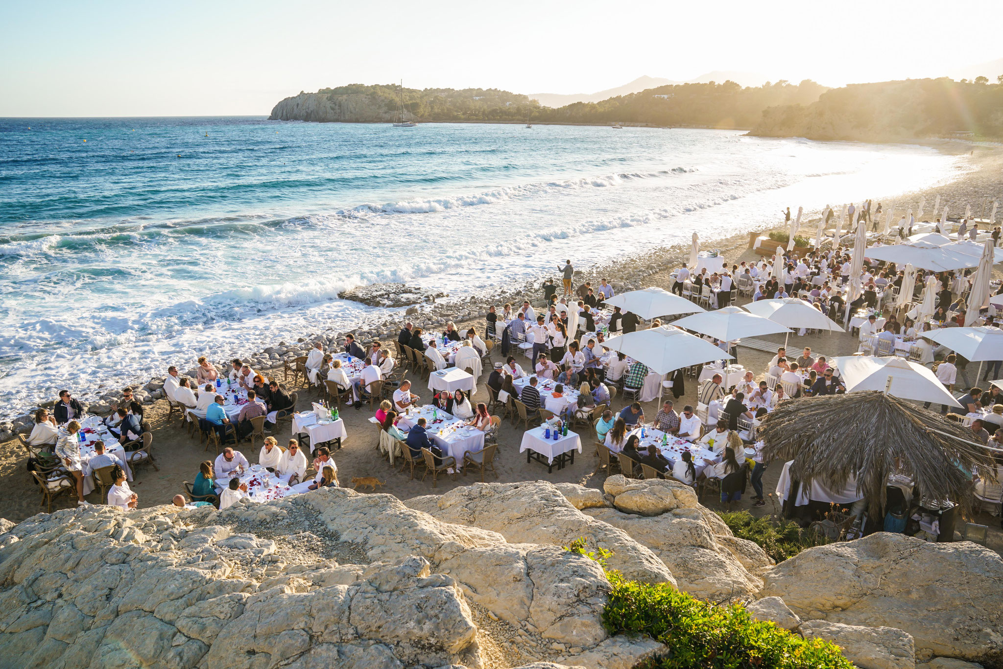 people partying with confetti