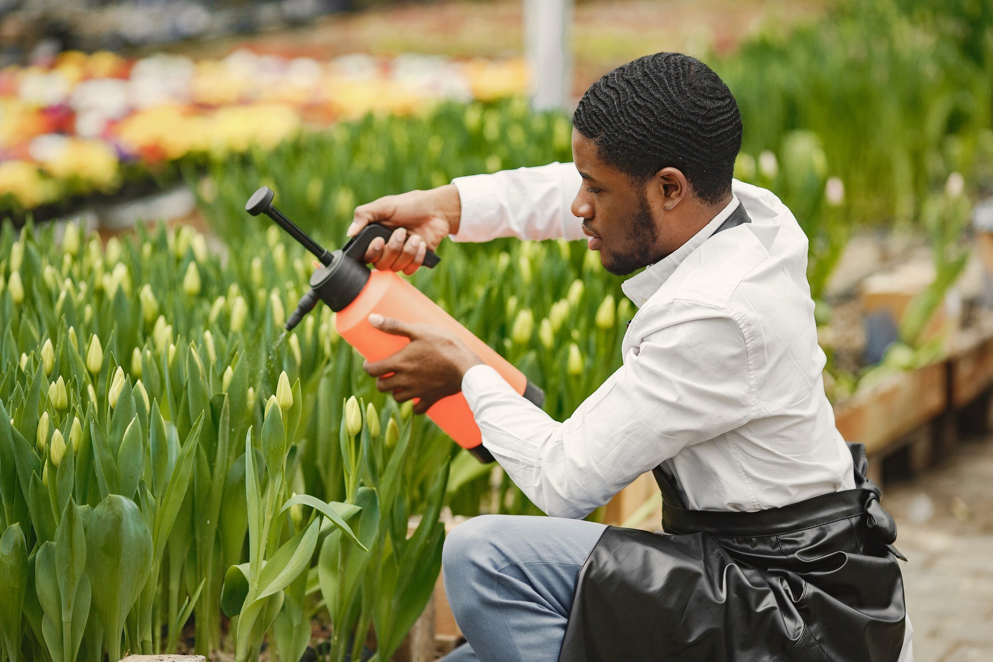 man spraying crops