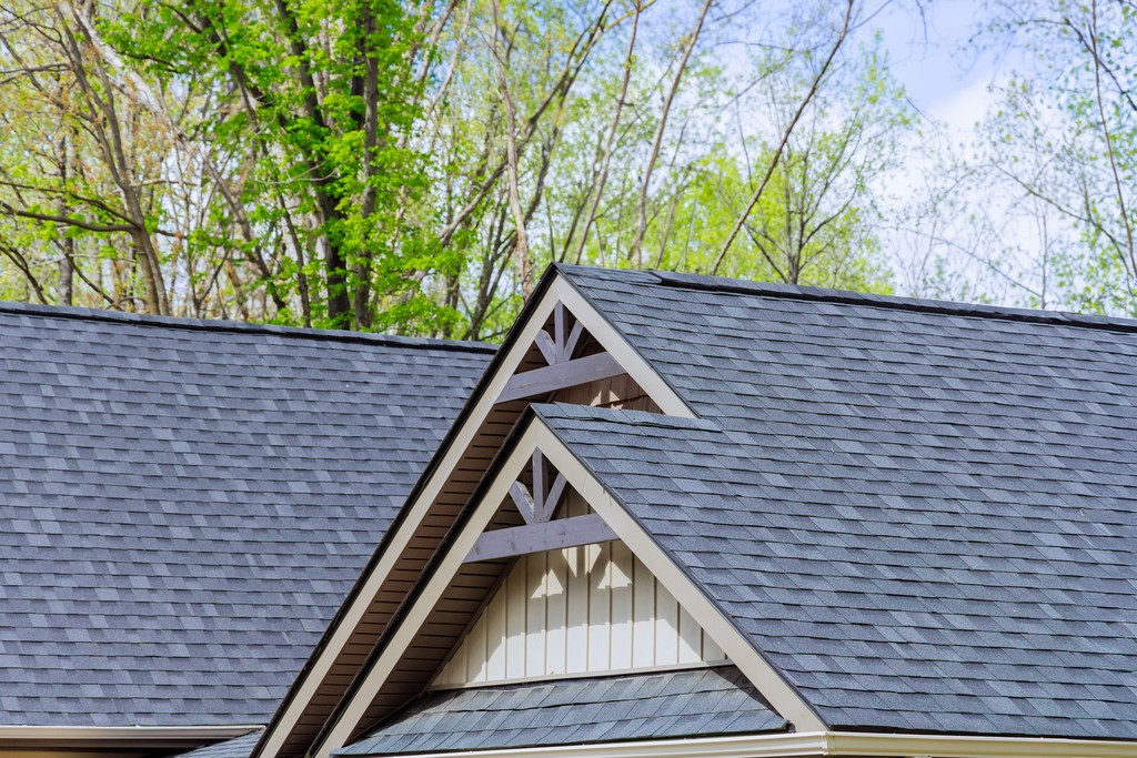 shingle roof