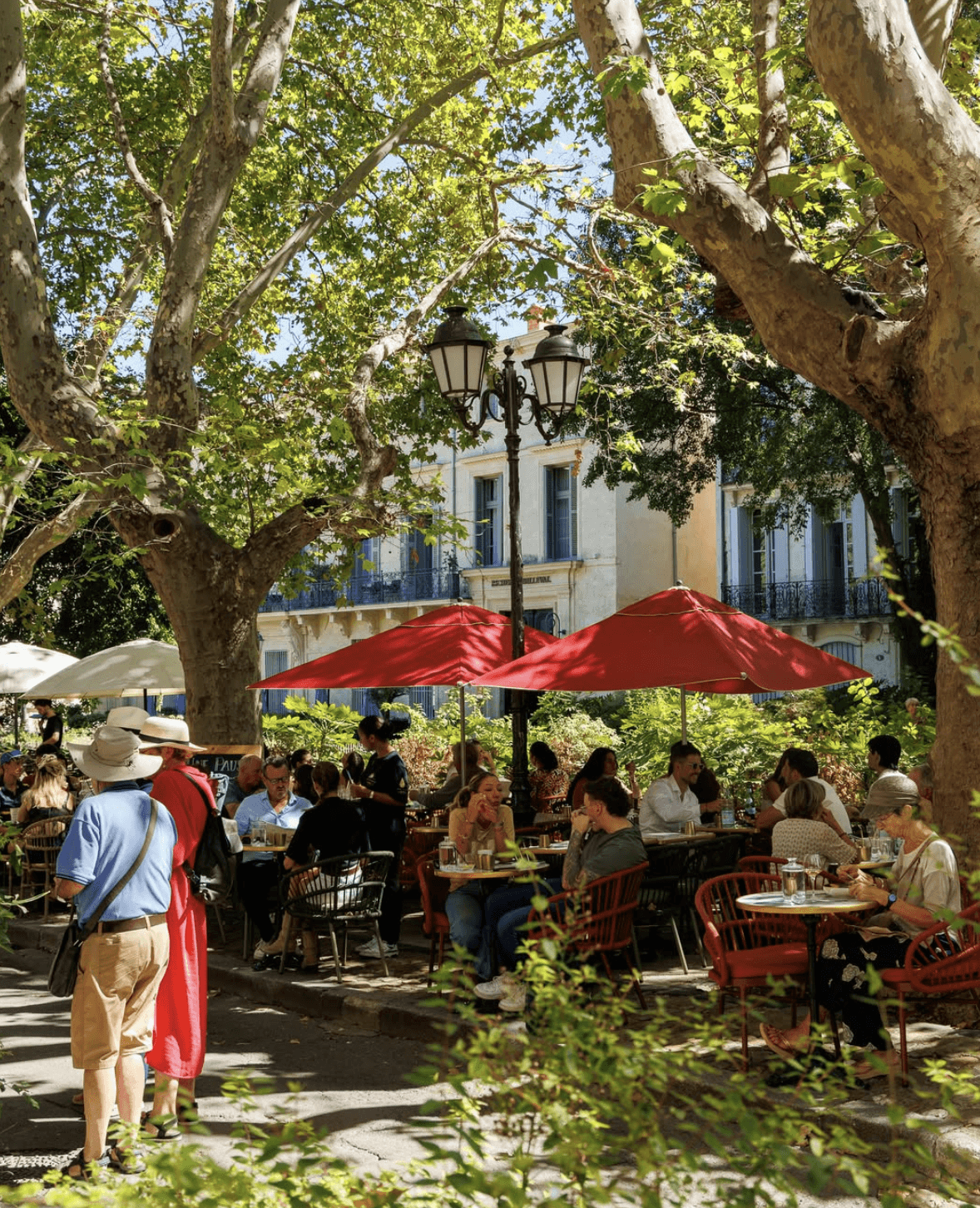 Finks at Clissold House