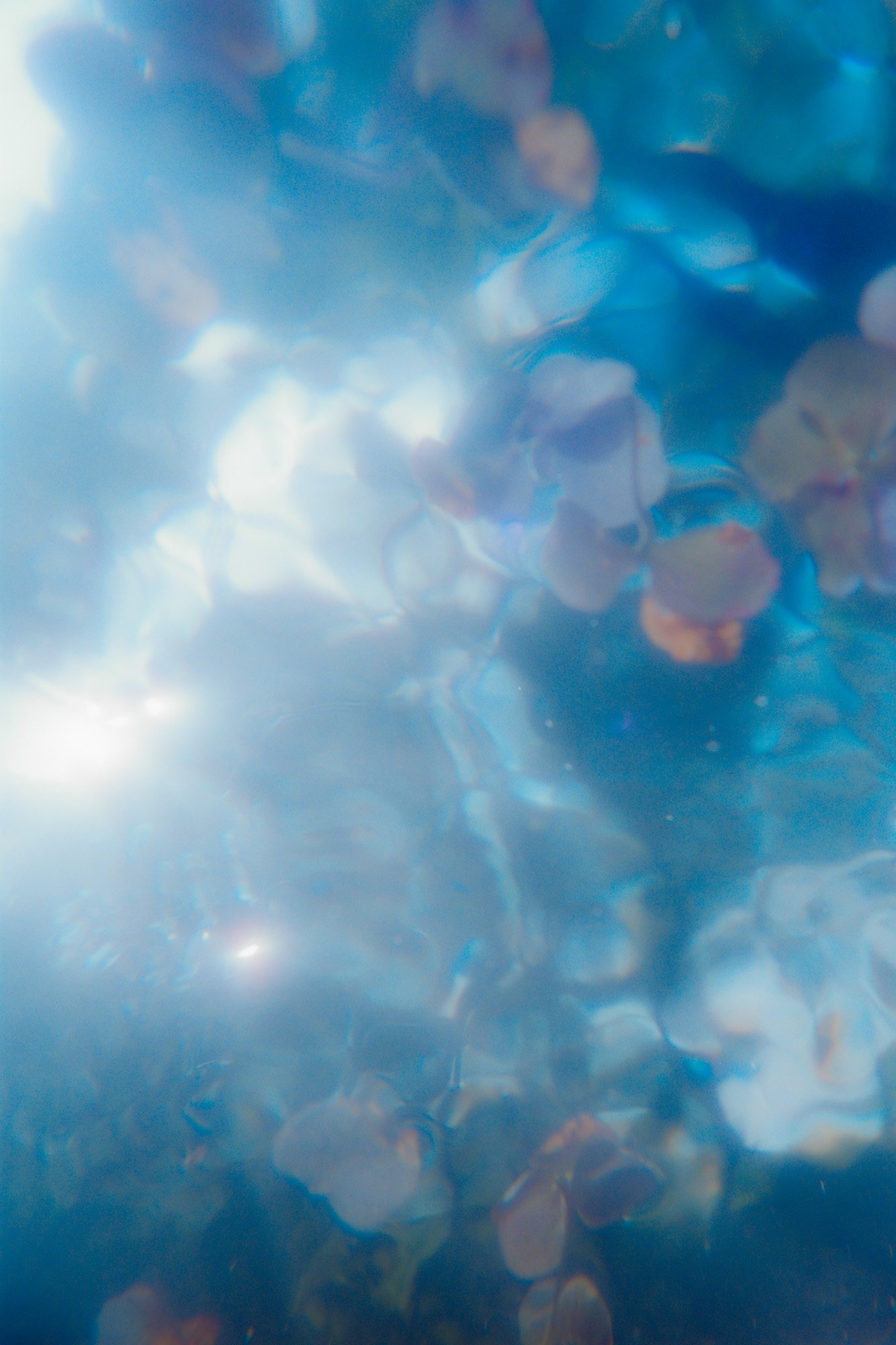 Taisei Matsumoto, index photograph 16