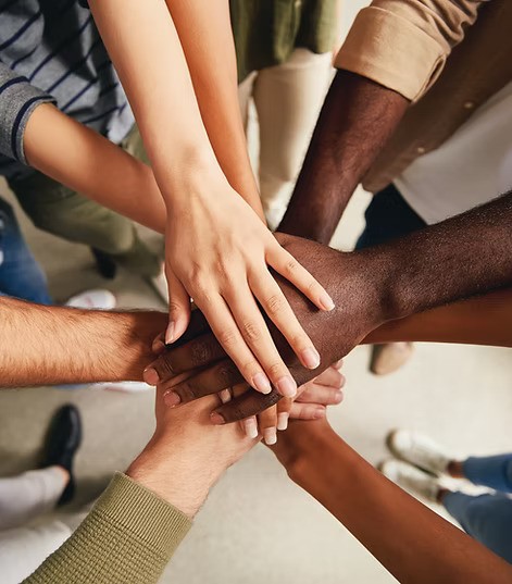 Ein Afrikanischer Elefant wirbelt Staub auf – Unterstützt durch die DAG Unternehmensgruppe im Rahmen der AMES Foundation zum Schutz bedrohter Tierarten.