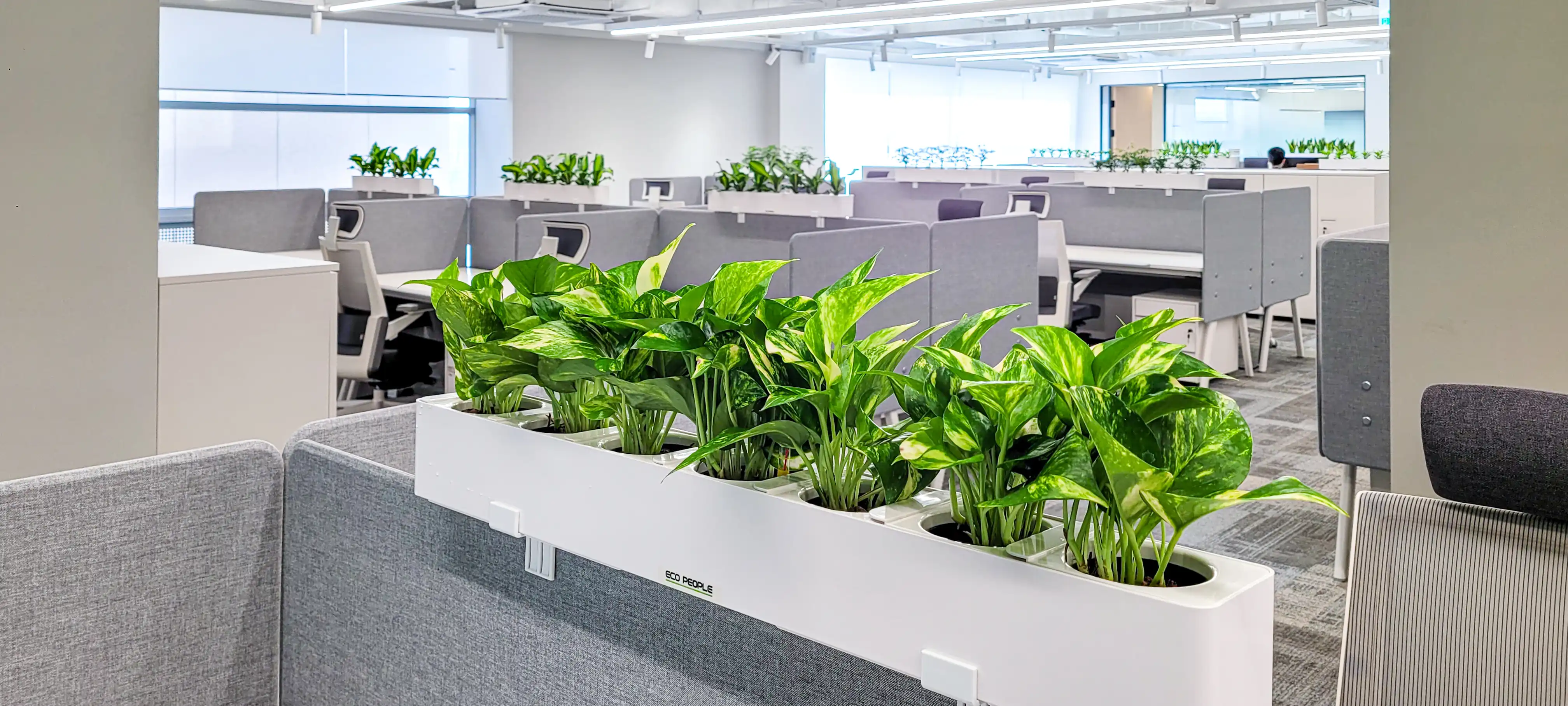 스킨답서스를 적용한 에코팟이 파티션에 설치되었다